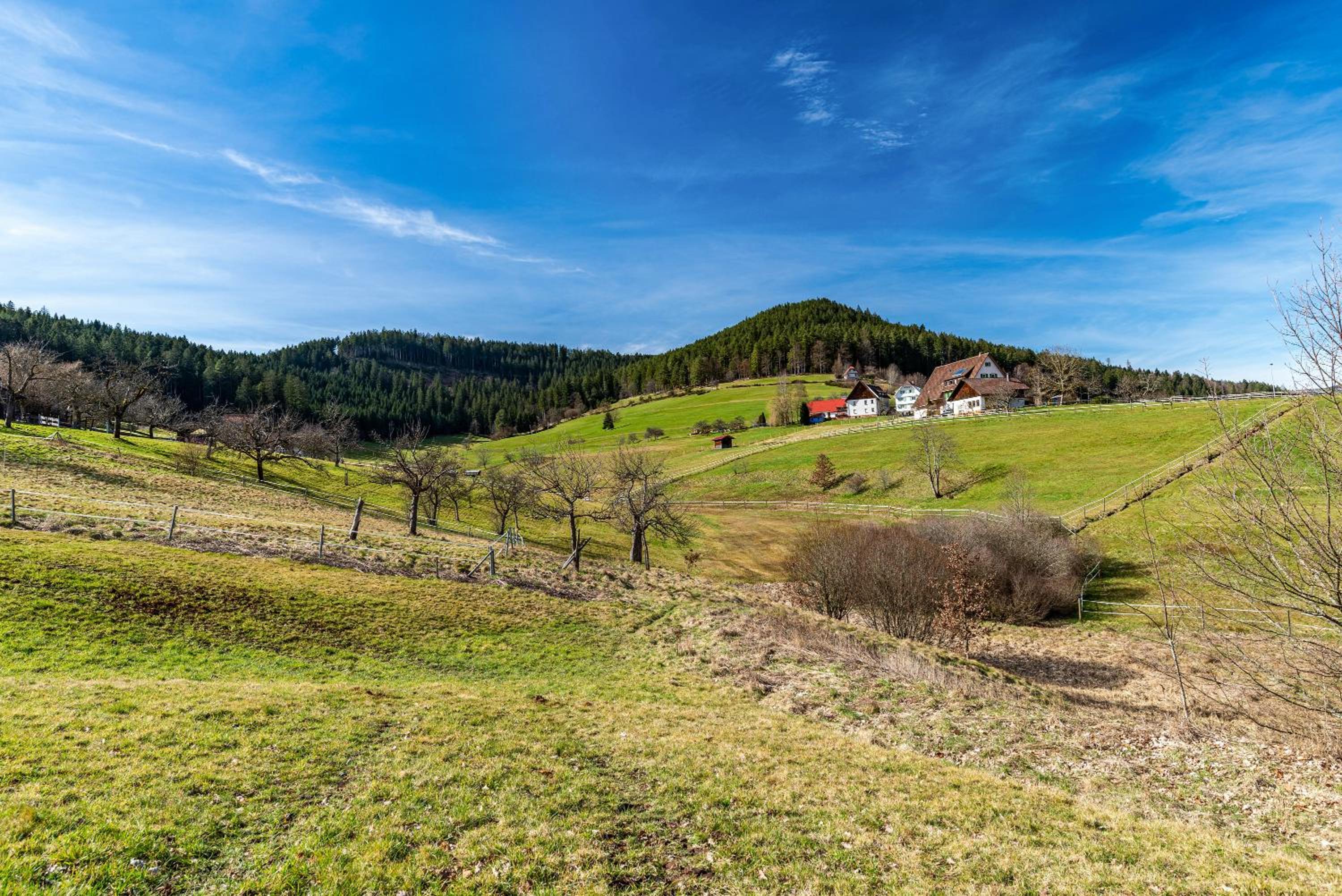 Schwarzwald Wölkchen
