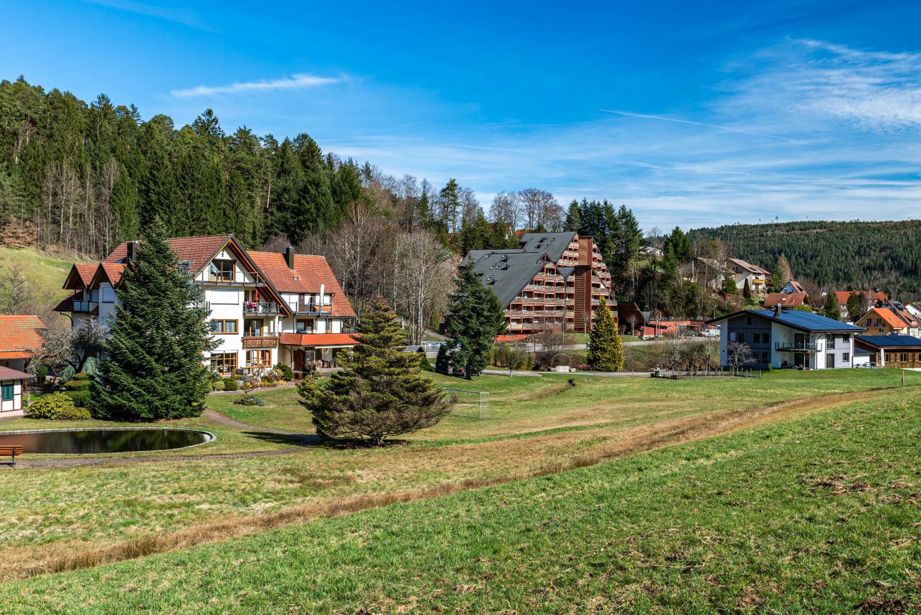 Schwarzwald Wölkchen