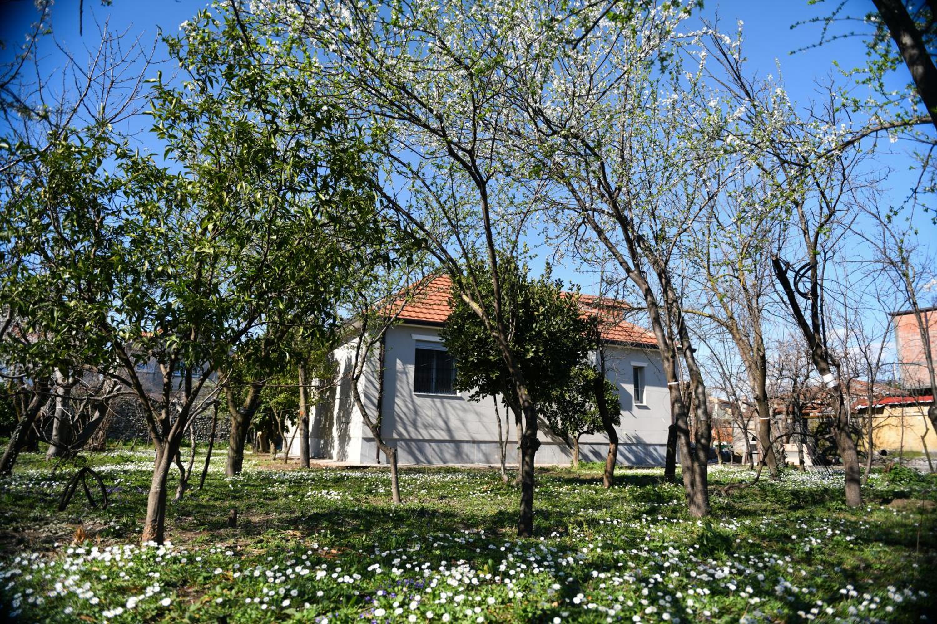 Nicolaus Hidden Gem Villa