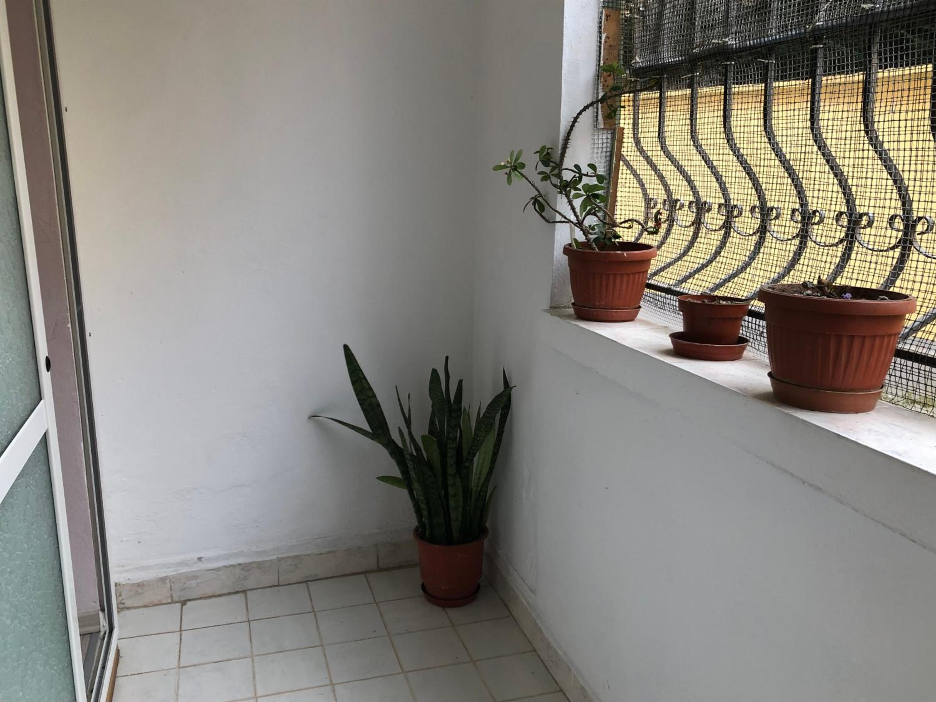 Itan’s apartment-Lovely guest apartment in center
