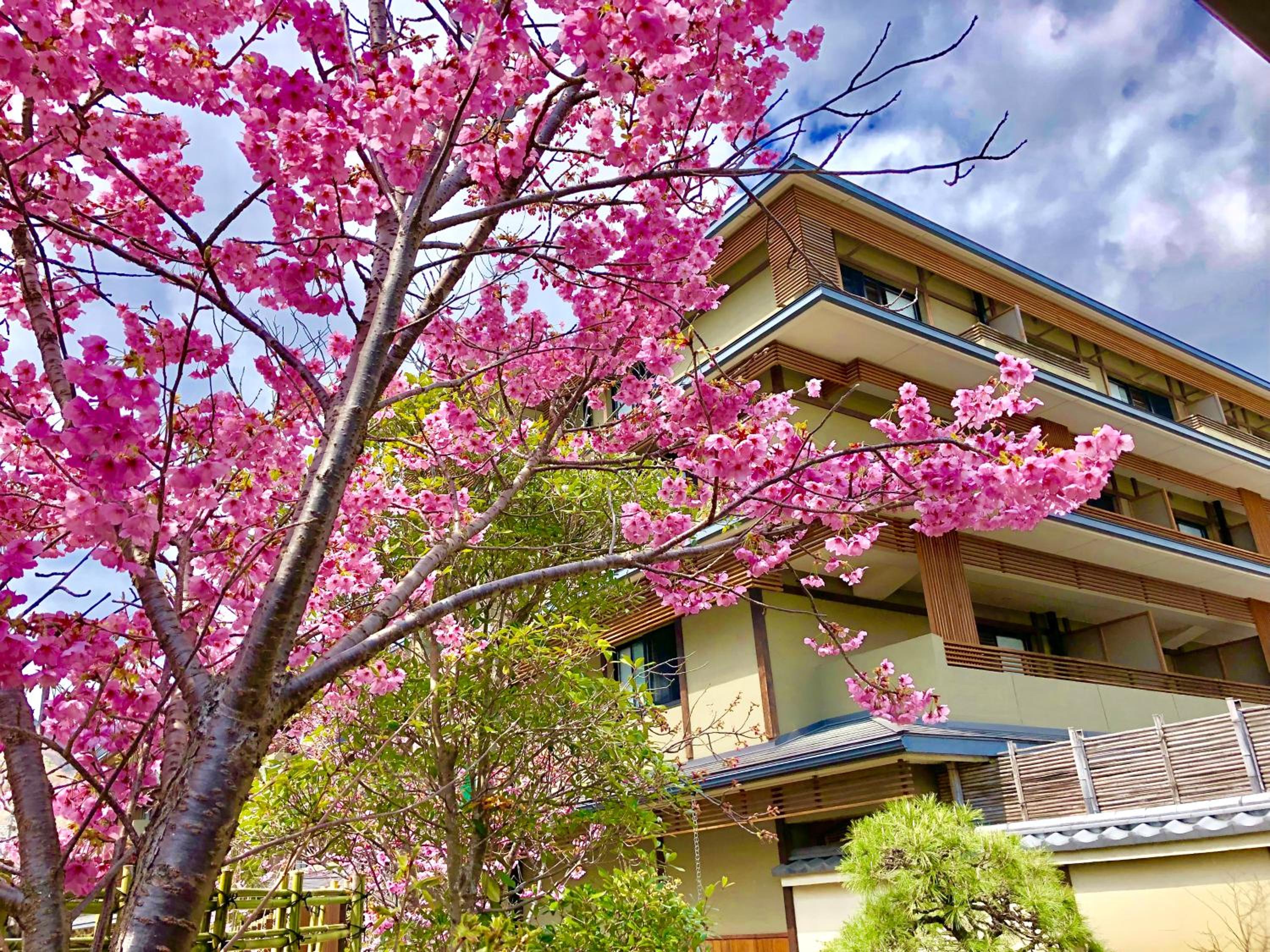 Kadensho, Arashiyama Onsen, Kyoto - Kyoritsu Resort 118