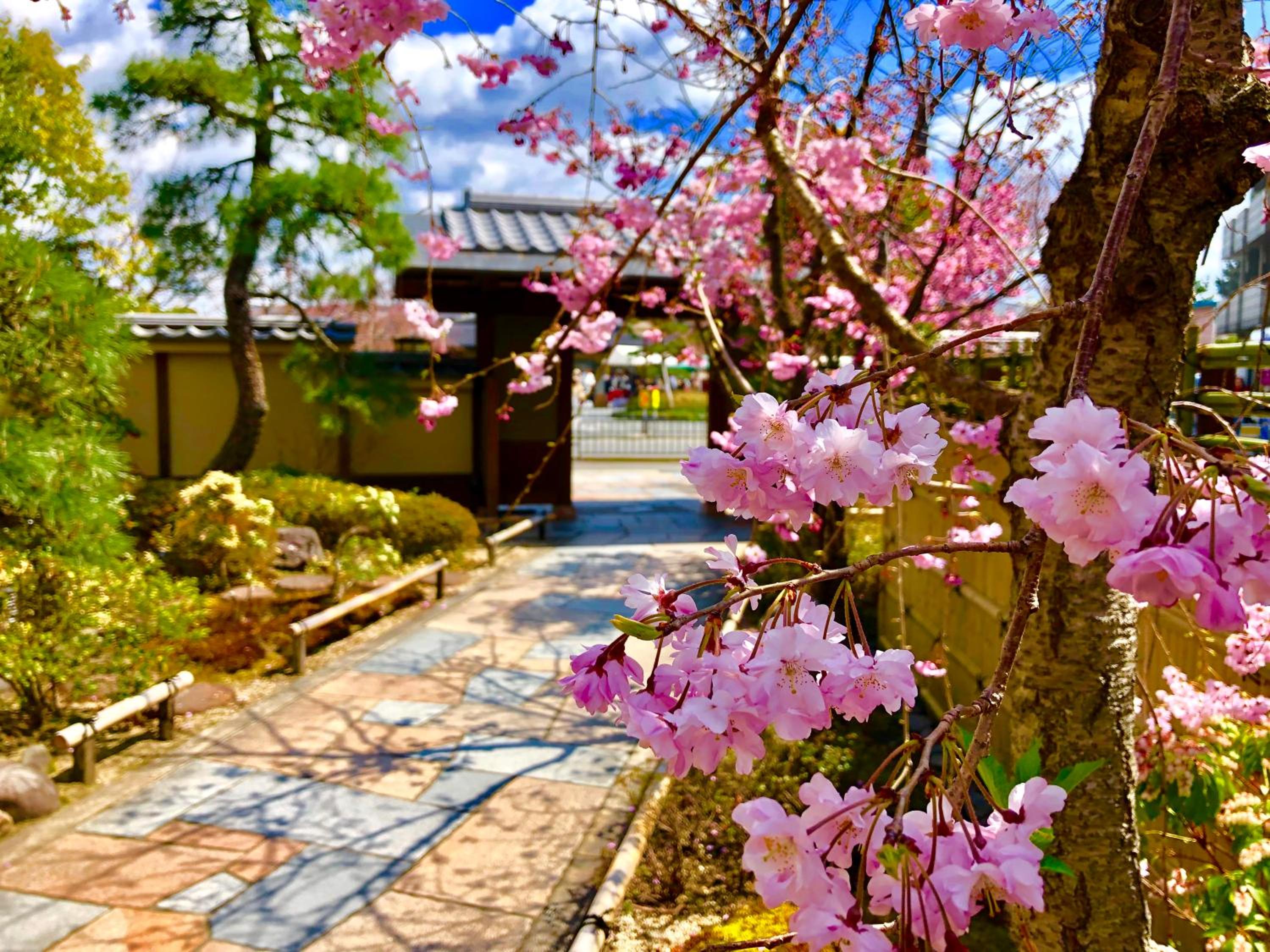 Kadensho, Arashiyama Onsen, Kyoto - Kyoritsu Resort 114