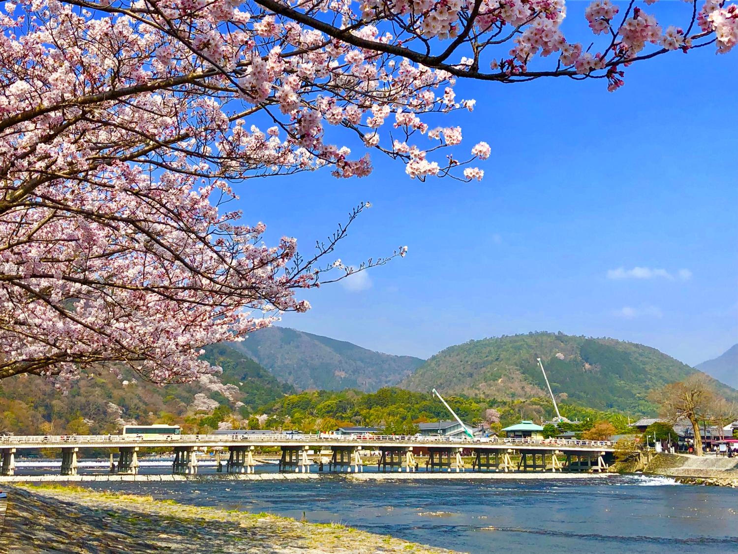 Kadensho, Arashiyama Onsen, Kyoto - Kyoritsu Resort 116