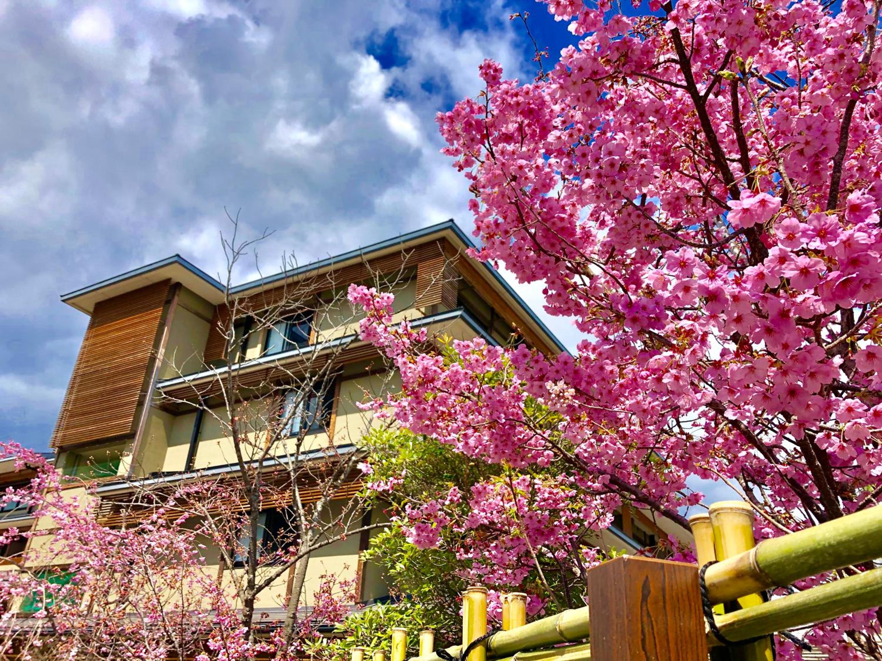 Kadensho, Arashiyama Onsen, Kyoto - Kyoritsu Resort 113