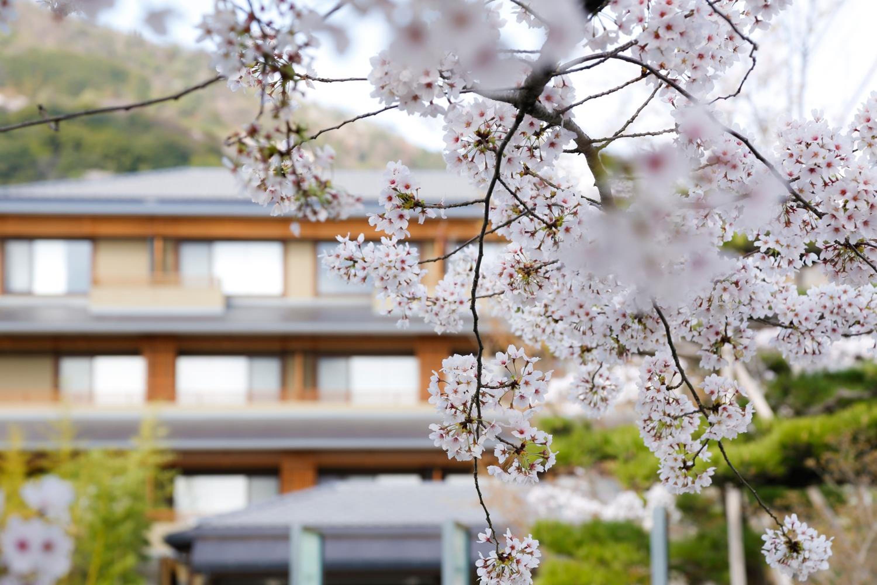 Kadensho, Arashiyama Onsen, Kyoto - Kyoritsu Resort 117