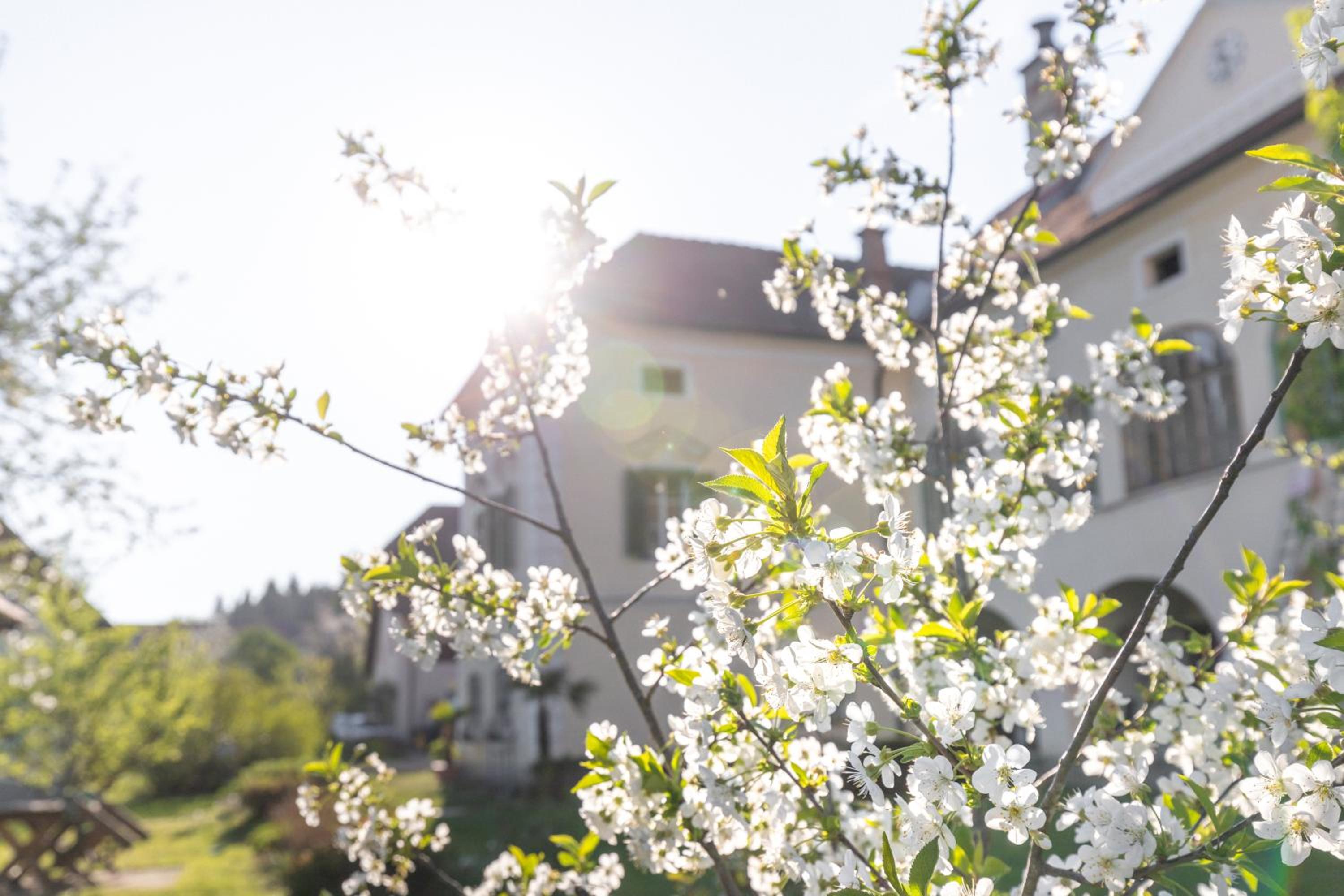 Schlossgut Gundersdorf