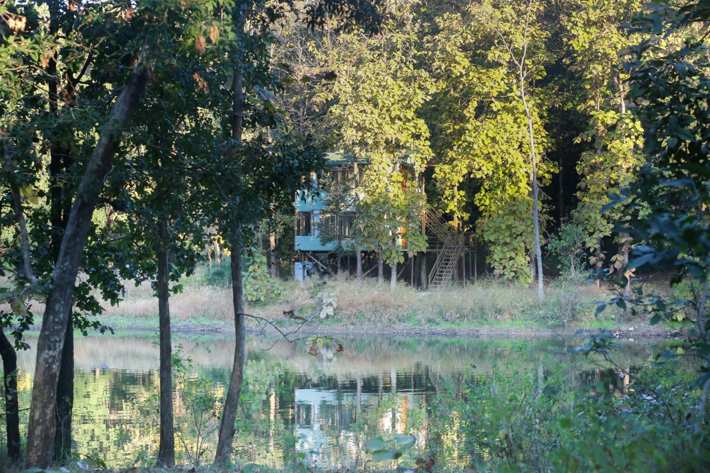 Photo 17