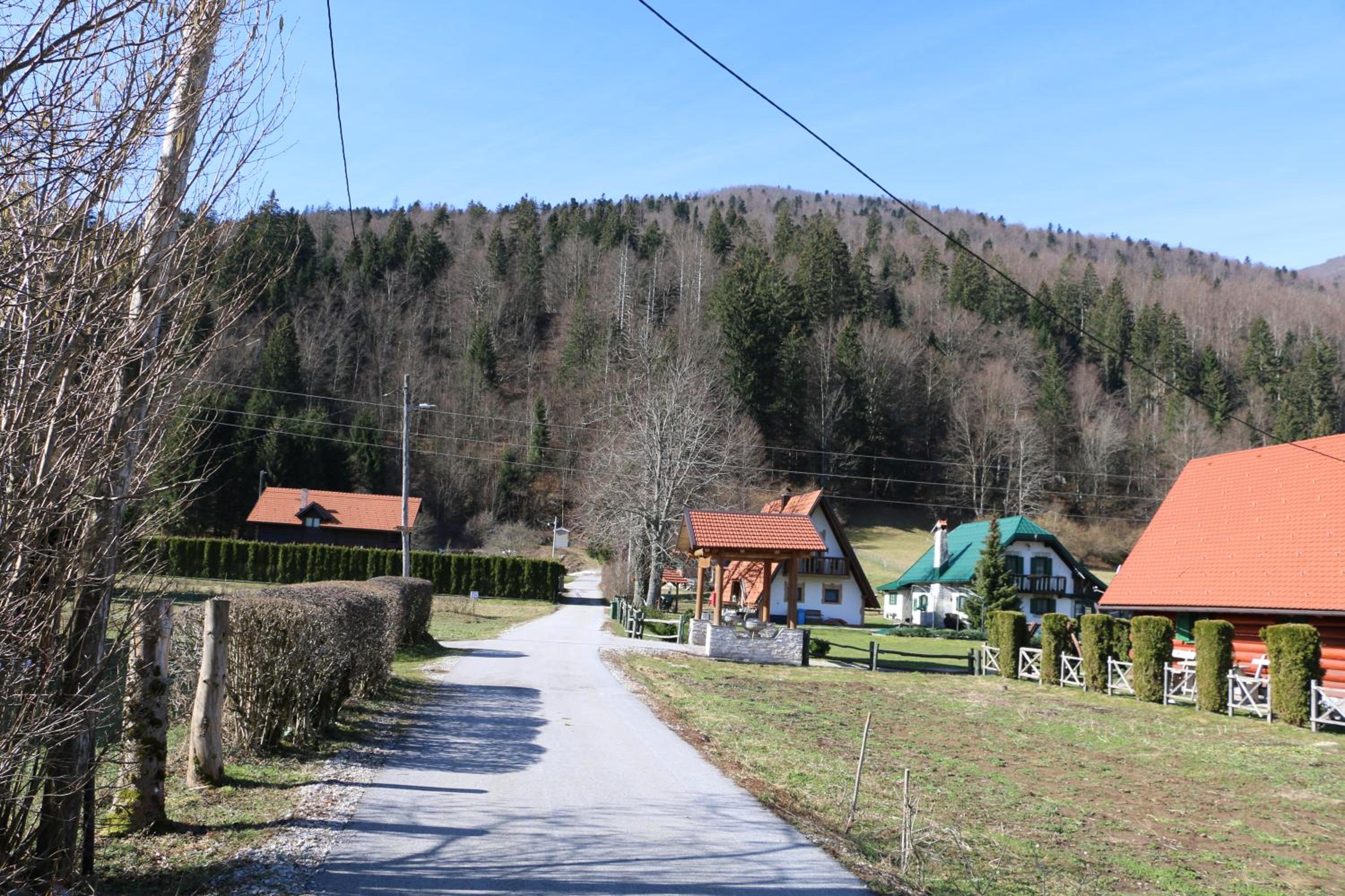 Photo 19