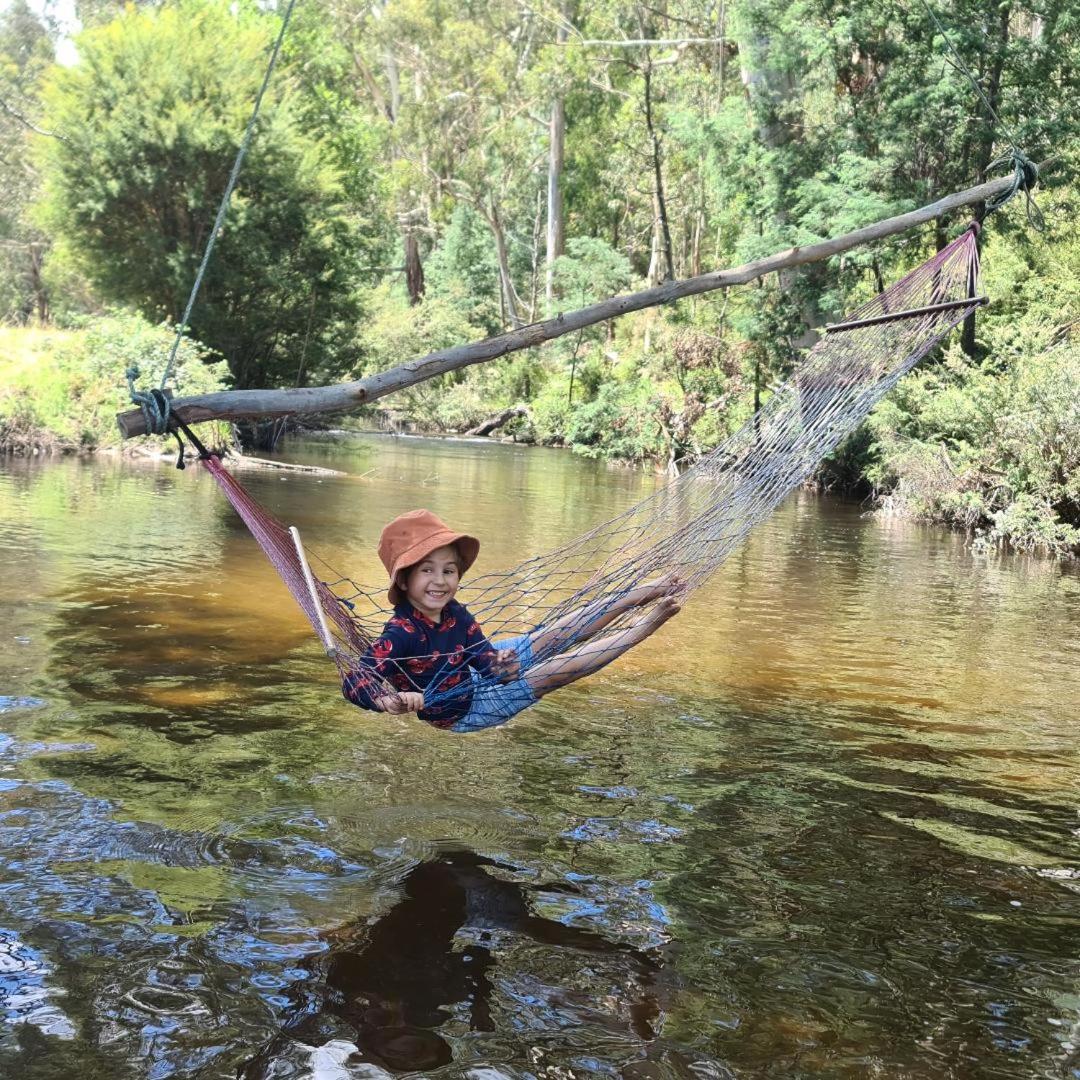 The Hammock