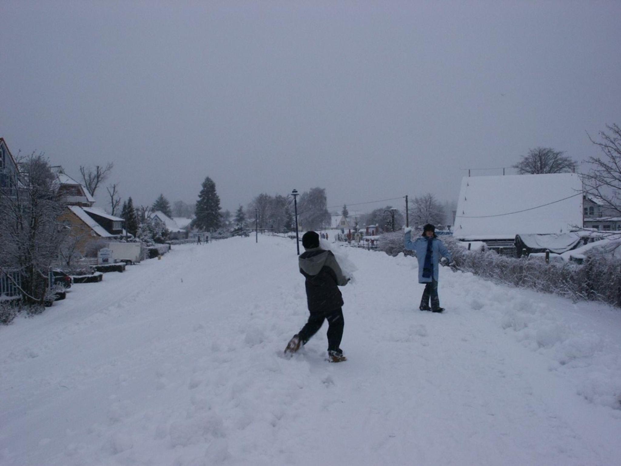Photo 22