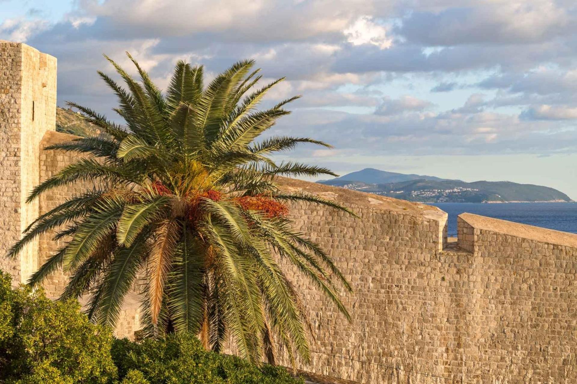 Sensational Dubrovnik Villa Villa Filia 4 Bedrooms Overlooking Dubrovnik City Walls Old Town