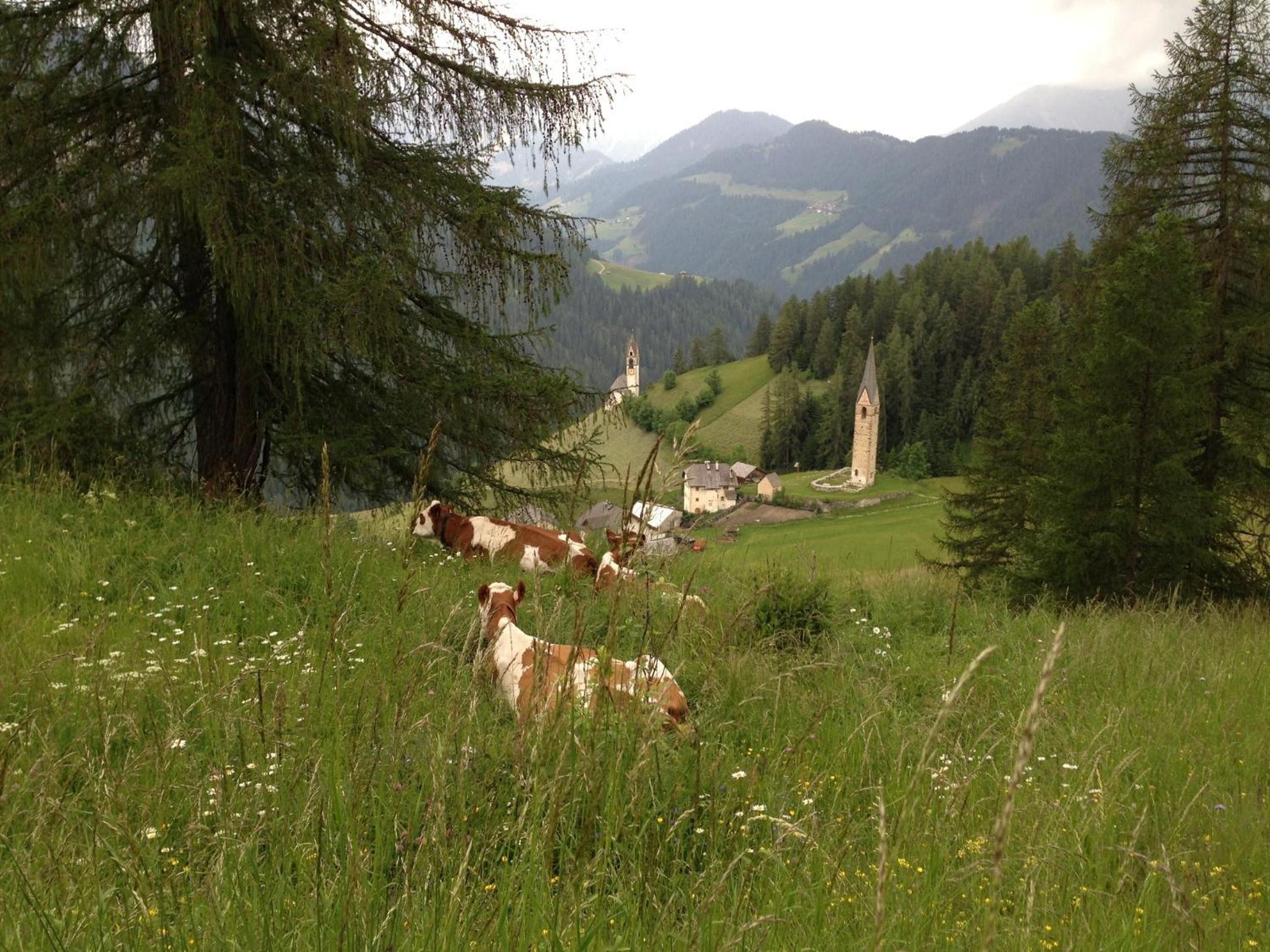 Photo 47