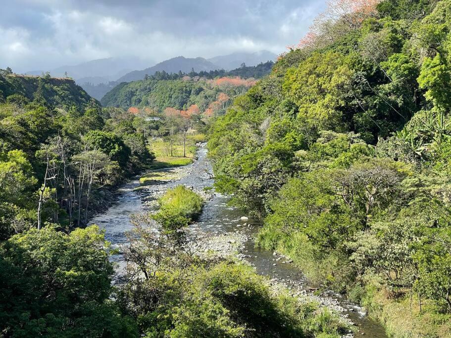 Cabaña puente Wilson