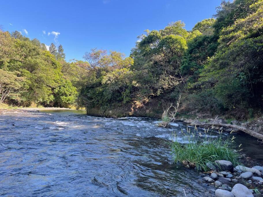 Cabaña puente Wilson
