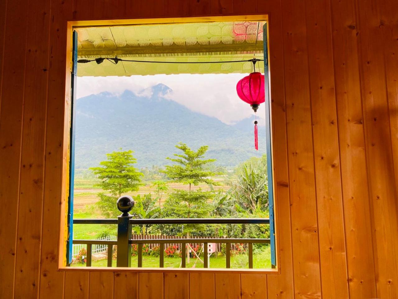 LaLi Home