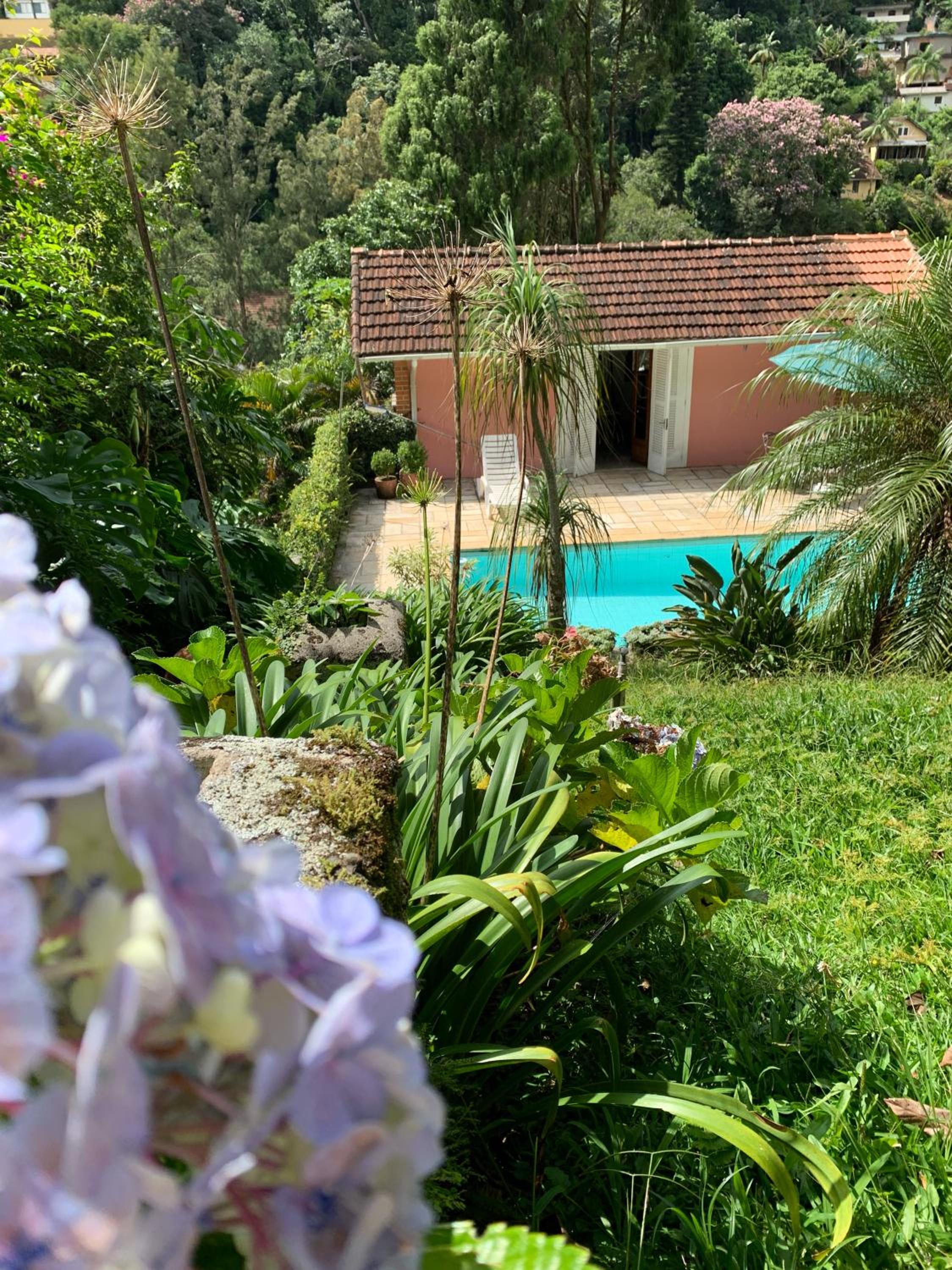 Villa Violeta