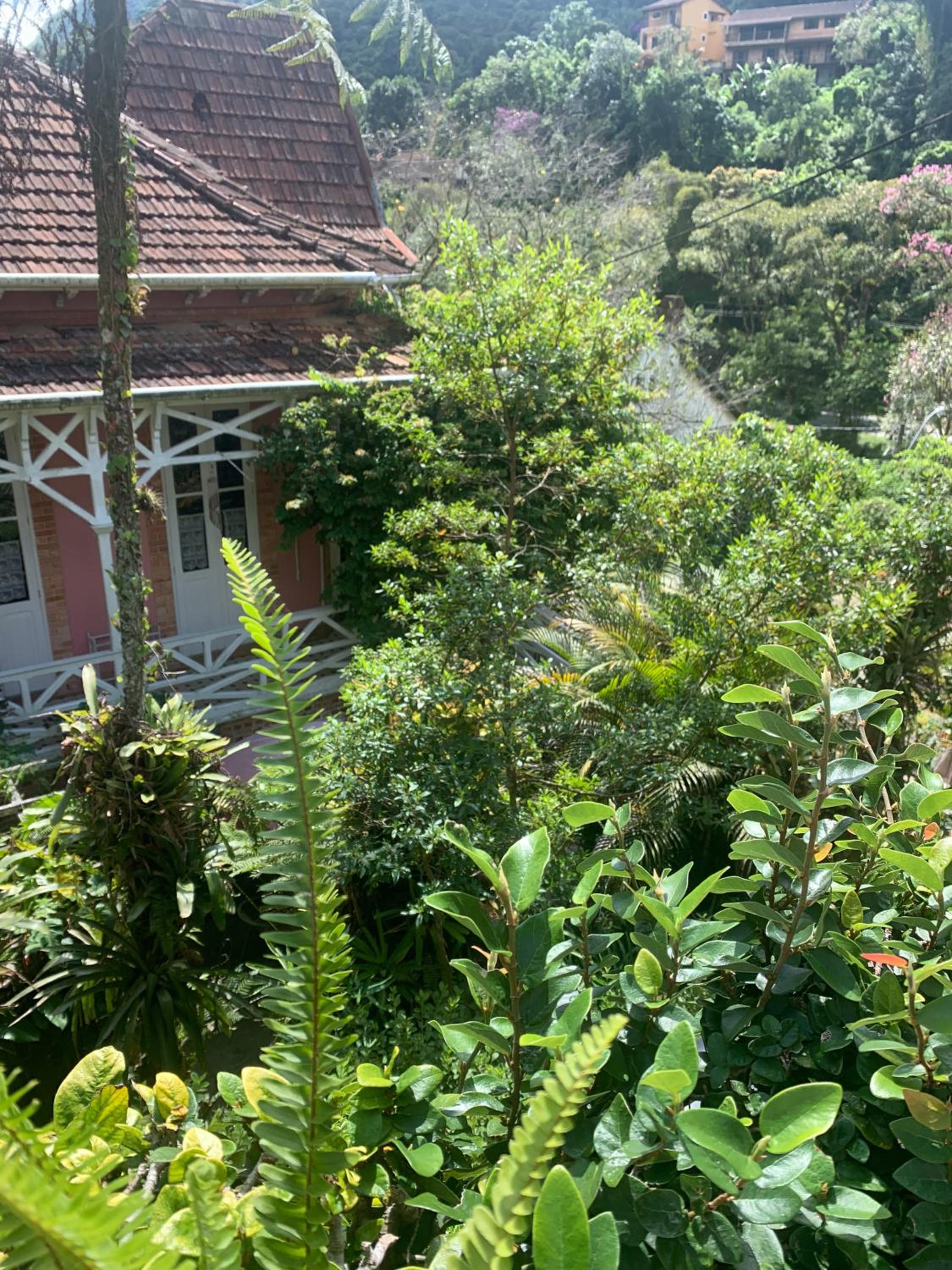 Villa Violeta