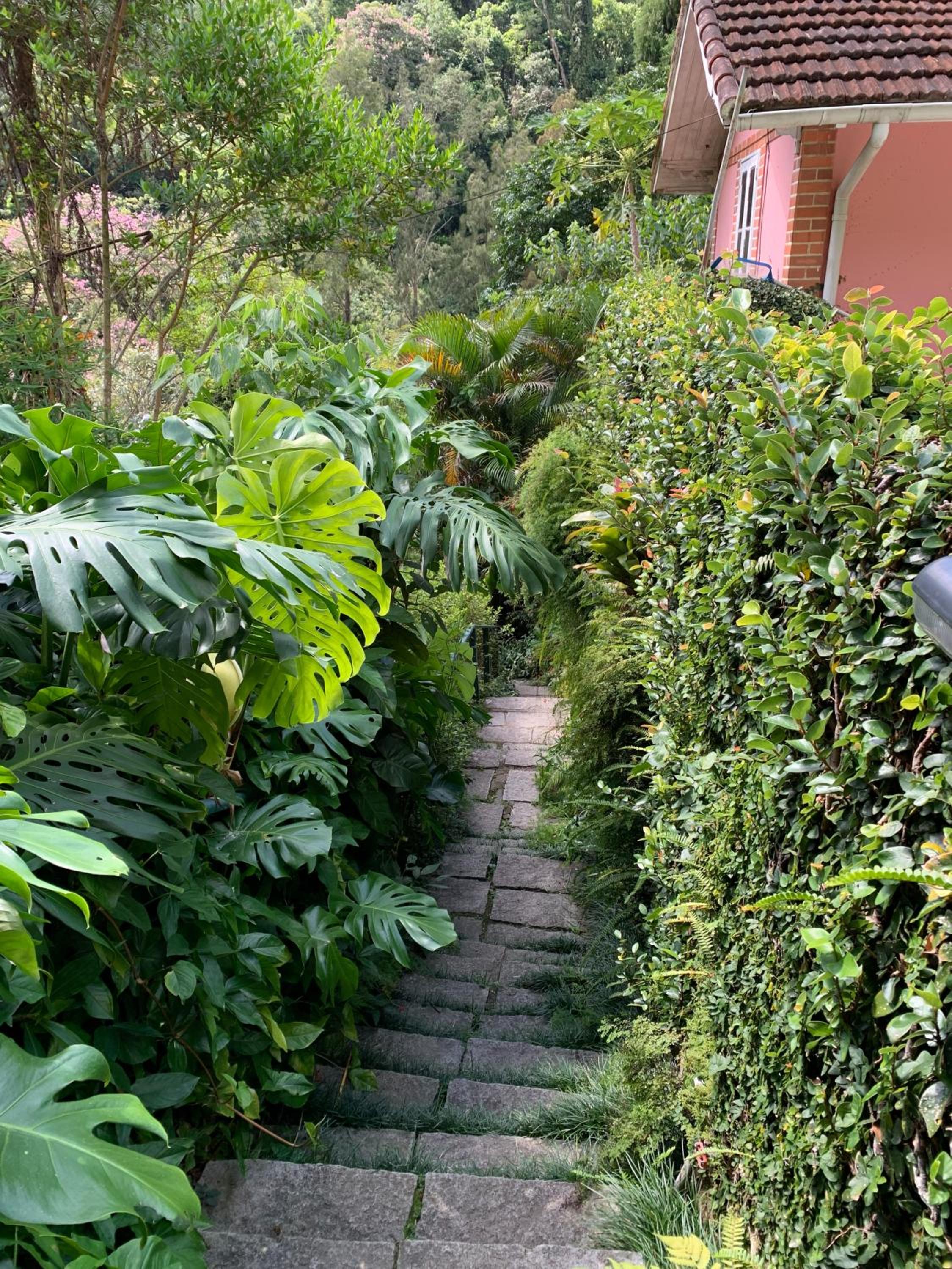 Villa Violeta