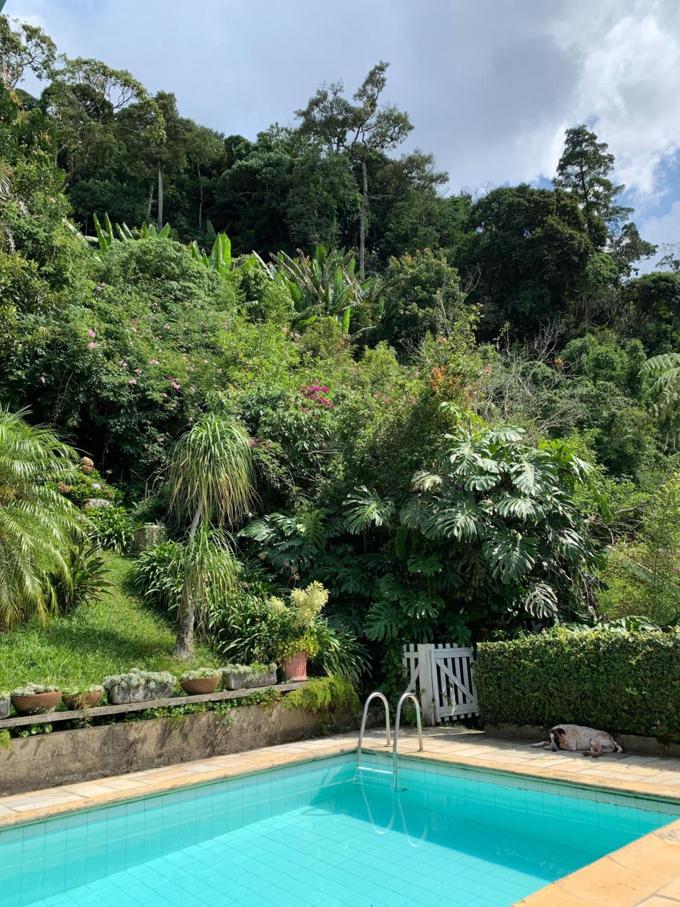Villa Violeta