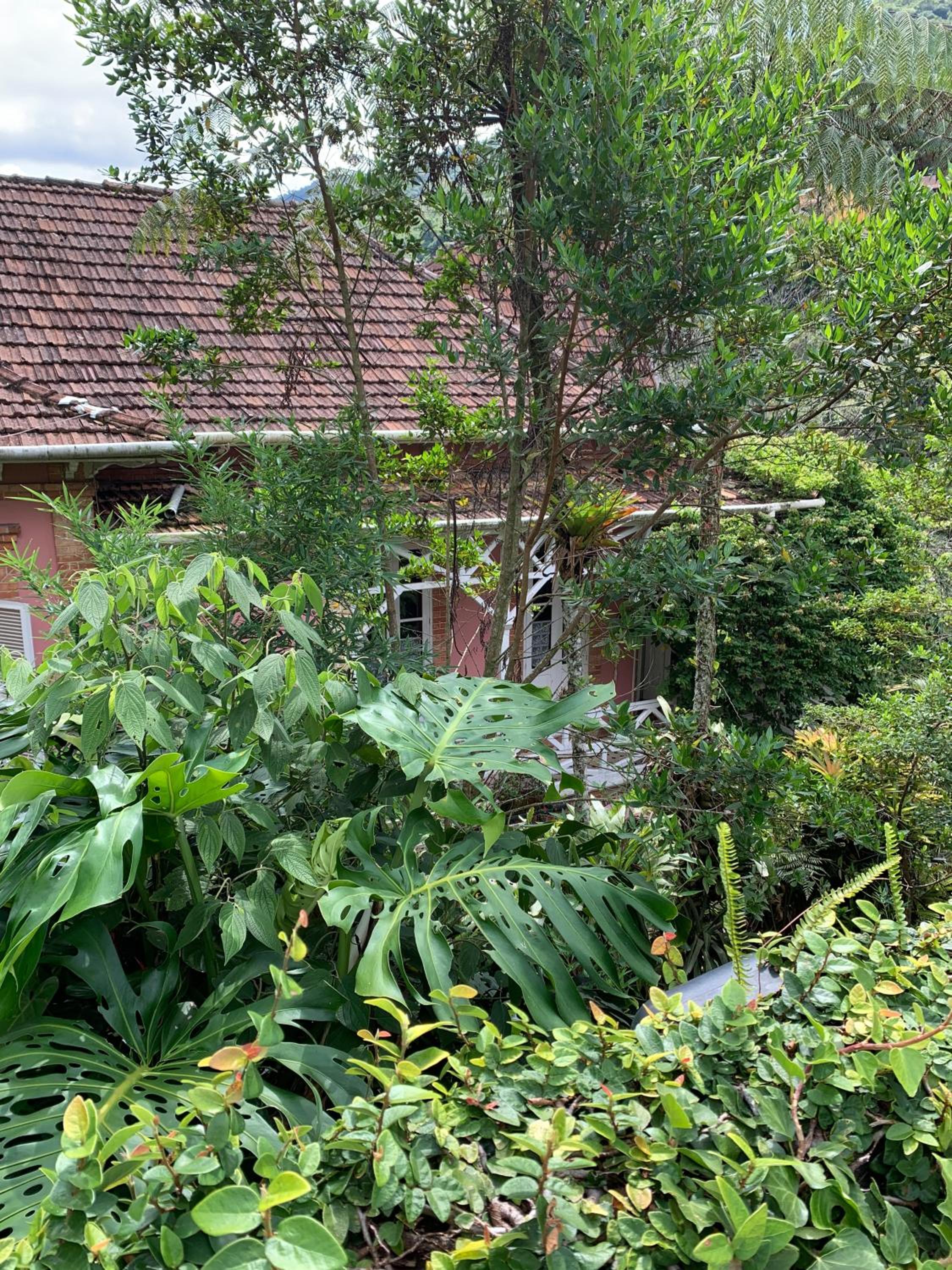Villa Violeta