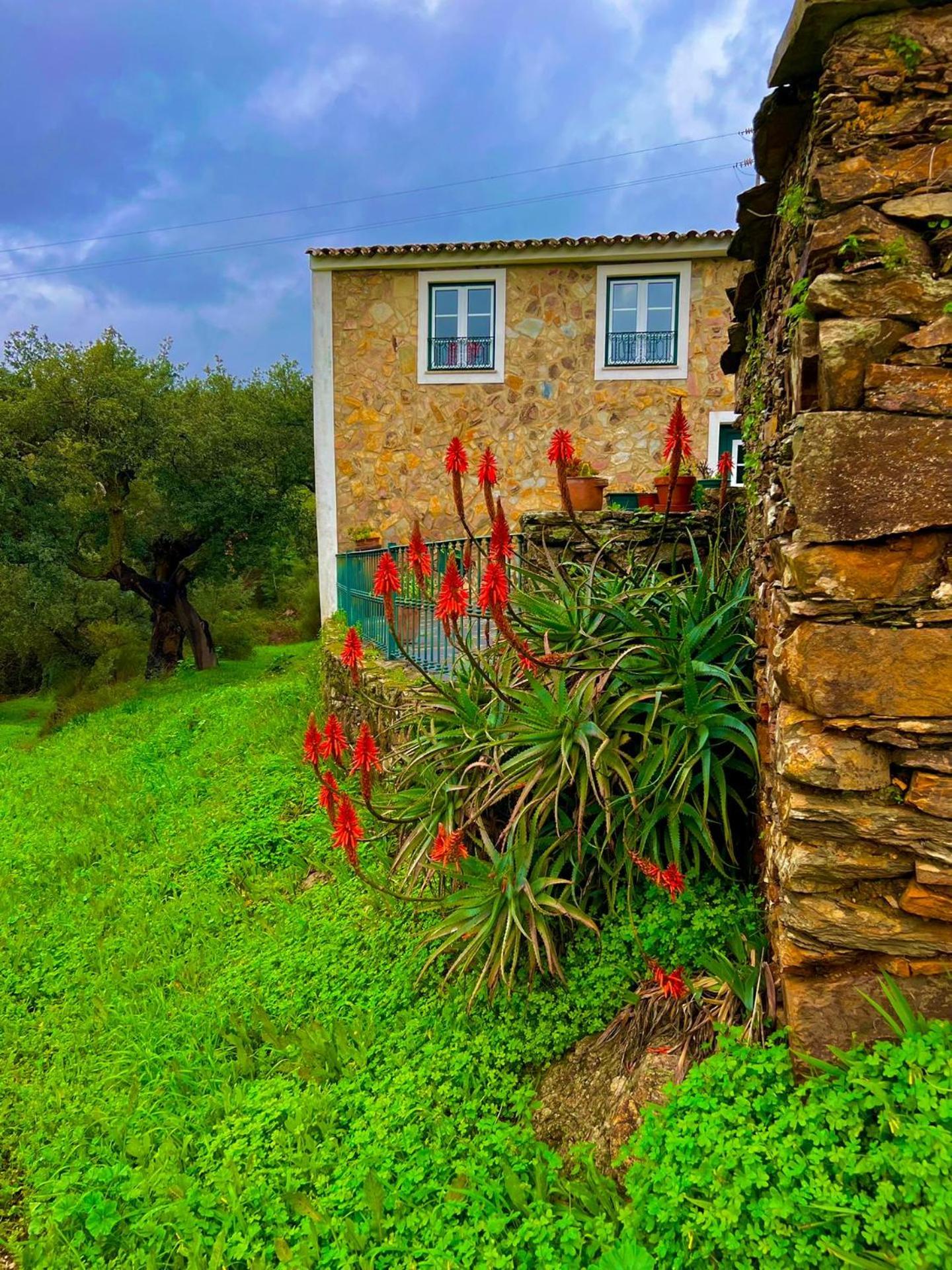 Quinta Castanheiro da Penha - Alegrete - Portalegre - Alentejo view 3