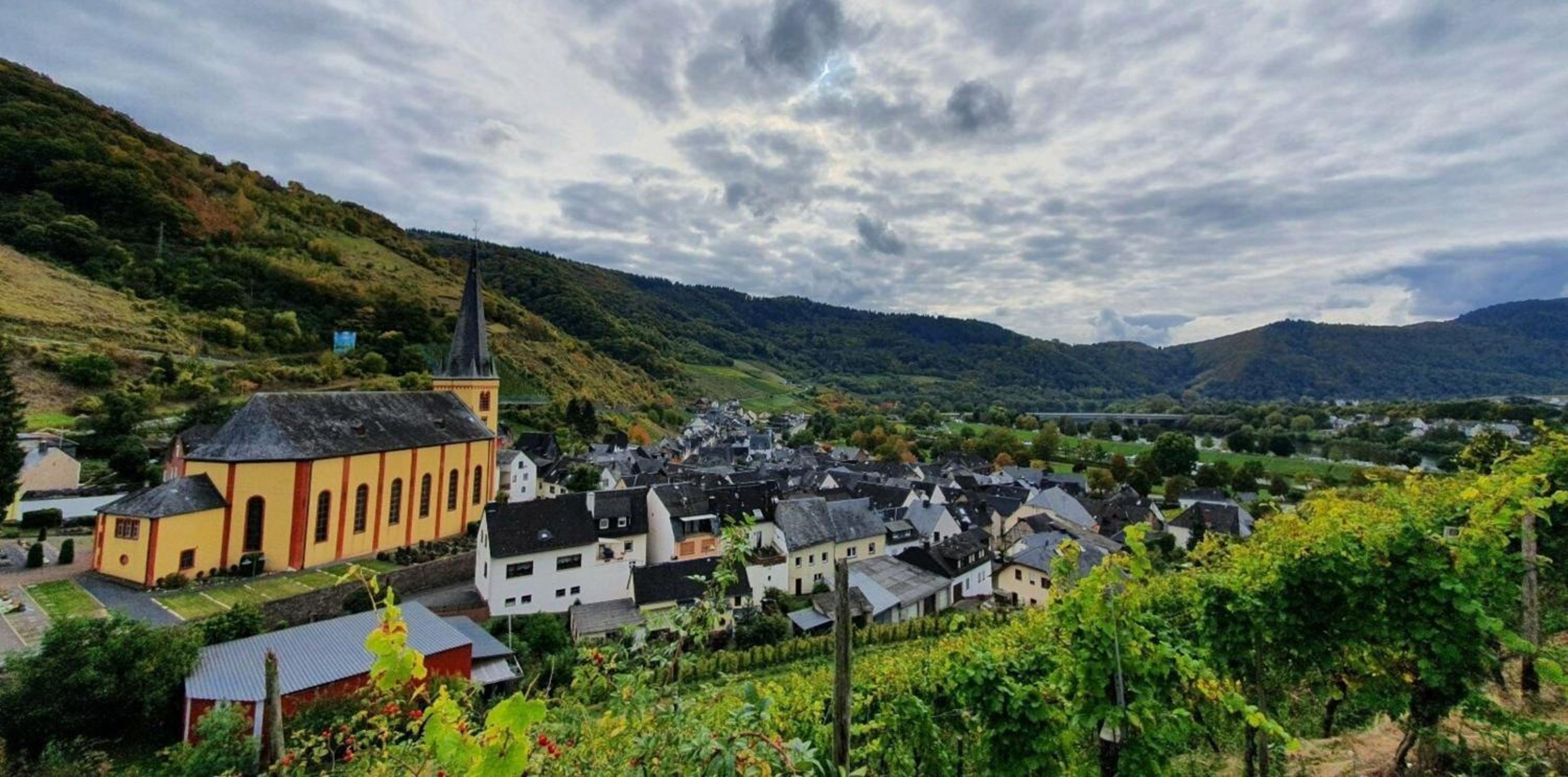 Ferienwohnung an der Mosel, Romeo