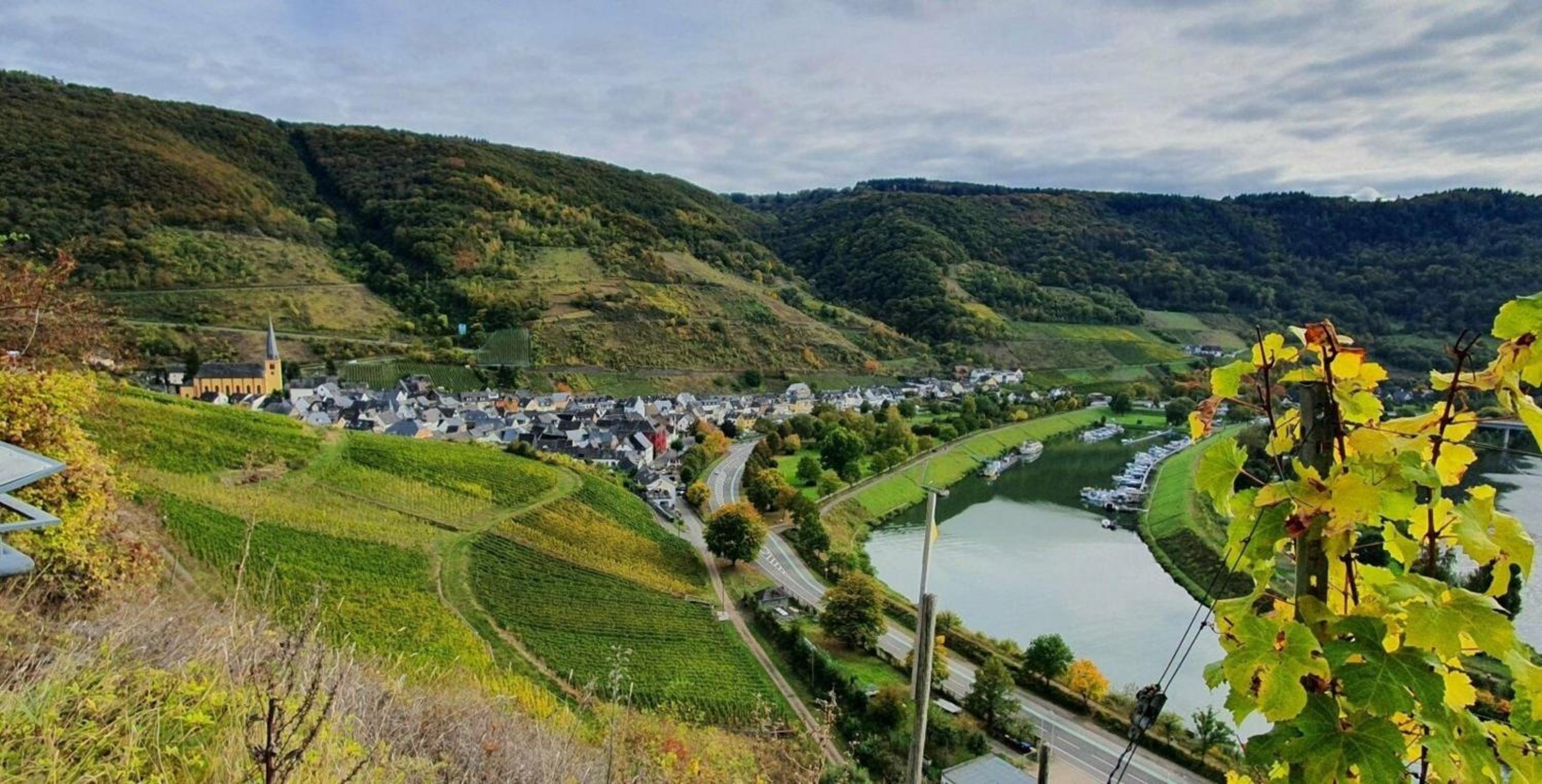 Ferienwohnung an der Mosel, Romeo