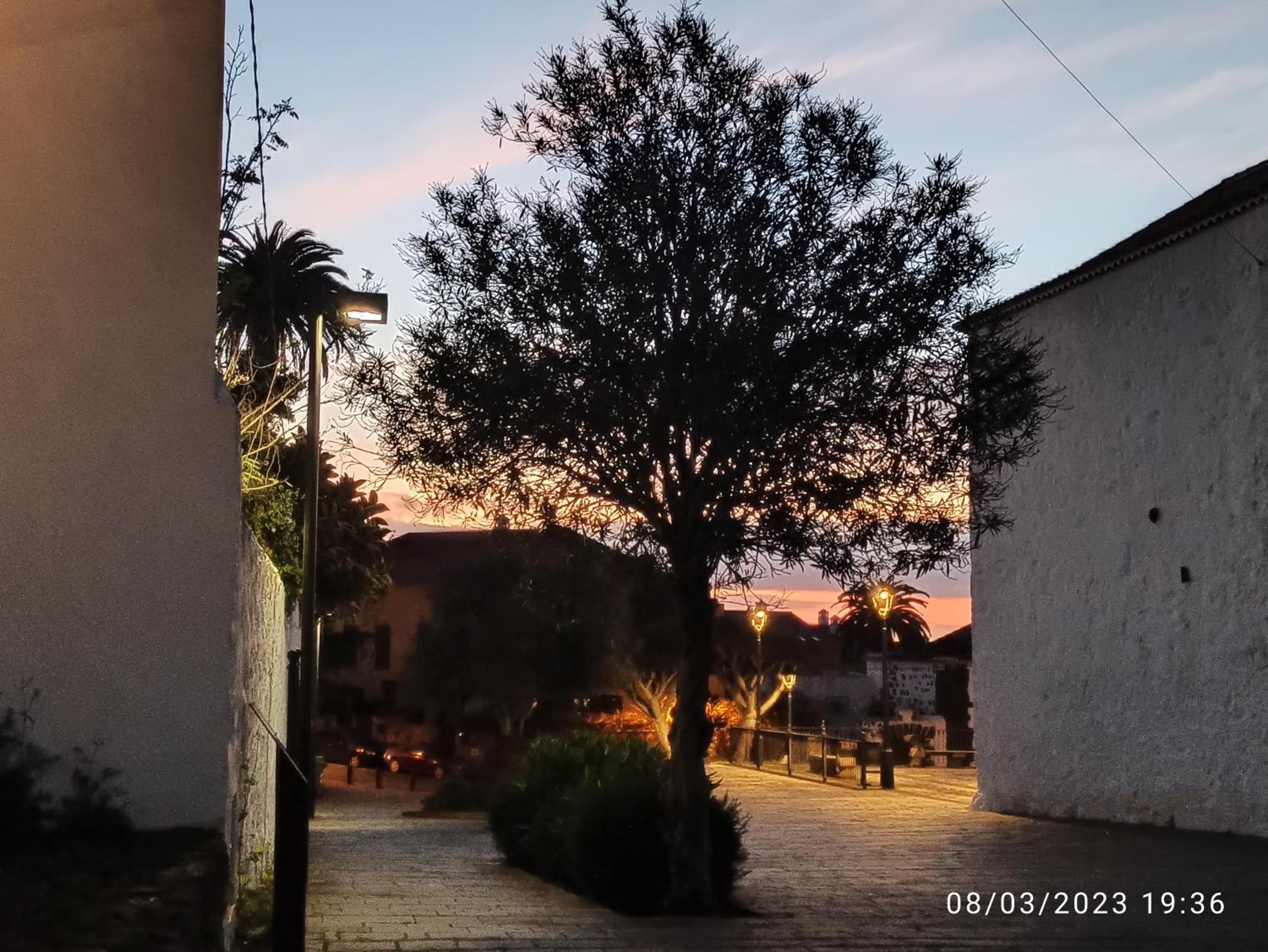 other