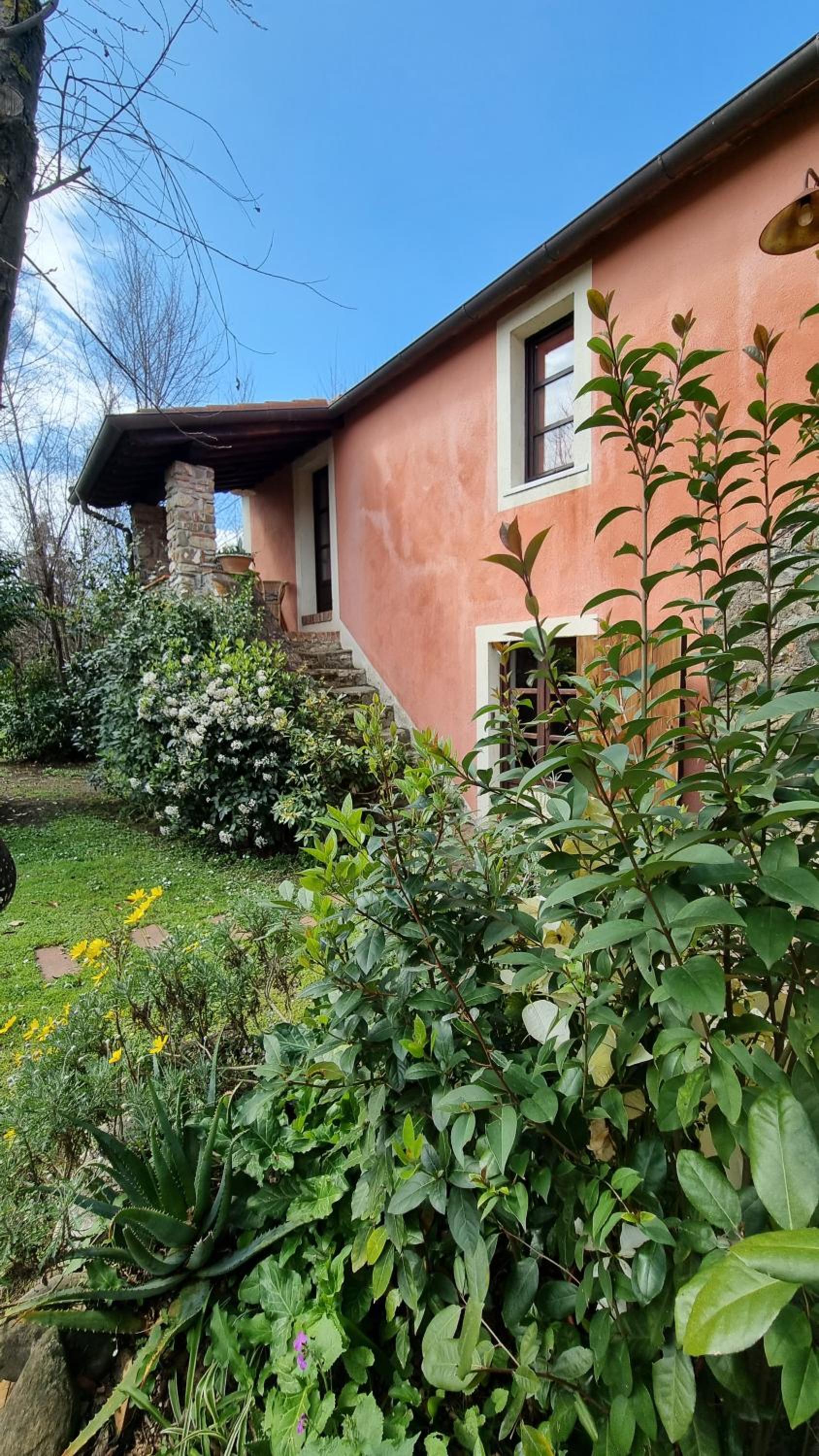 Photo 36
