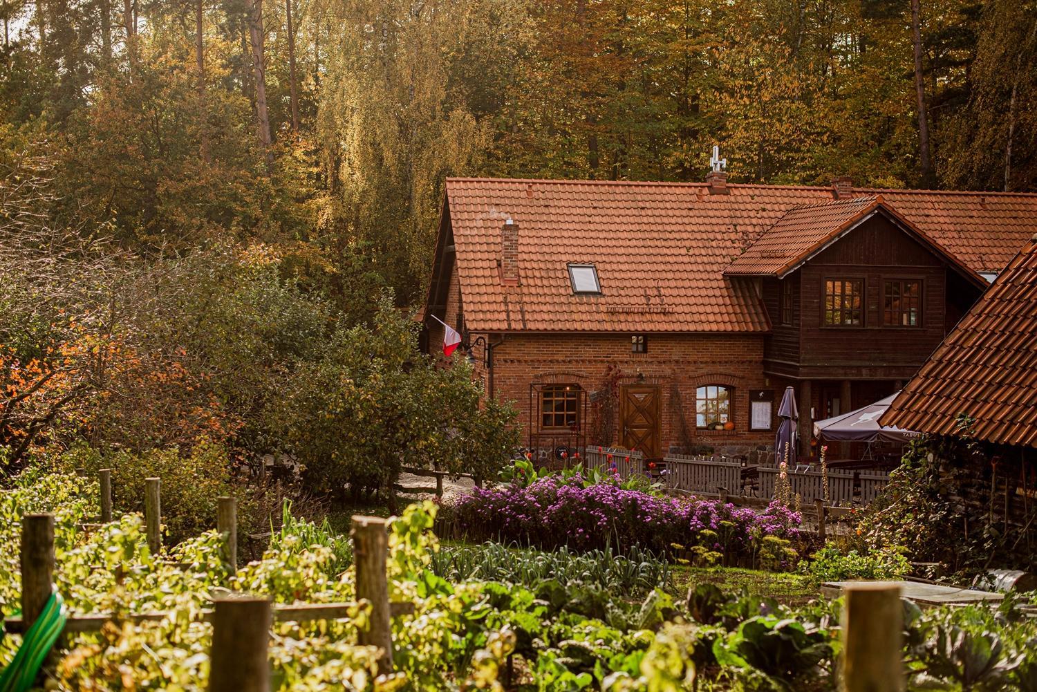 garden