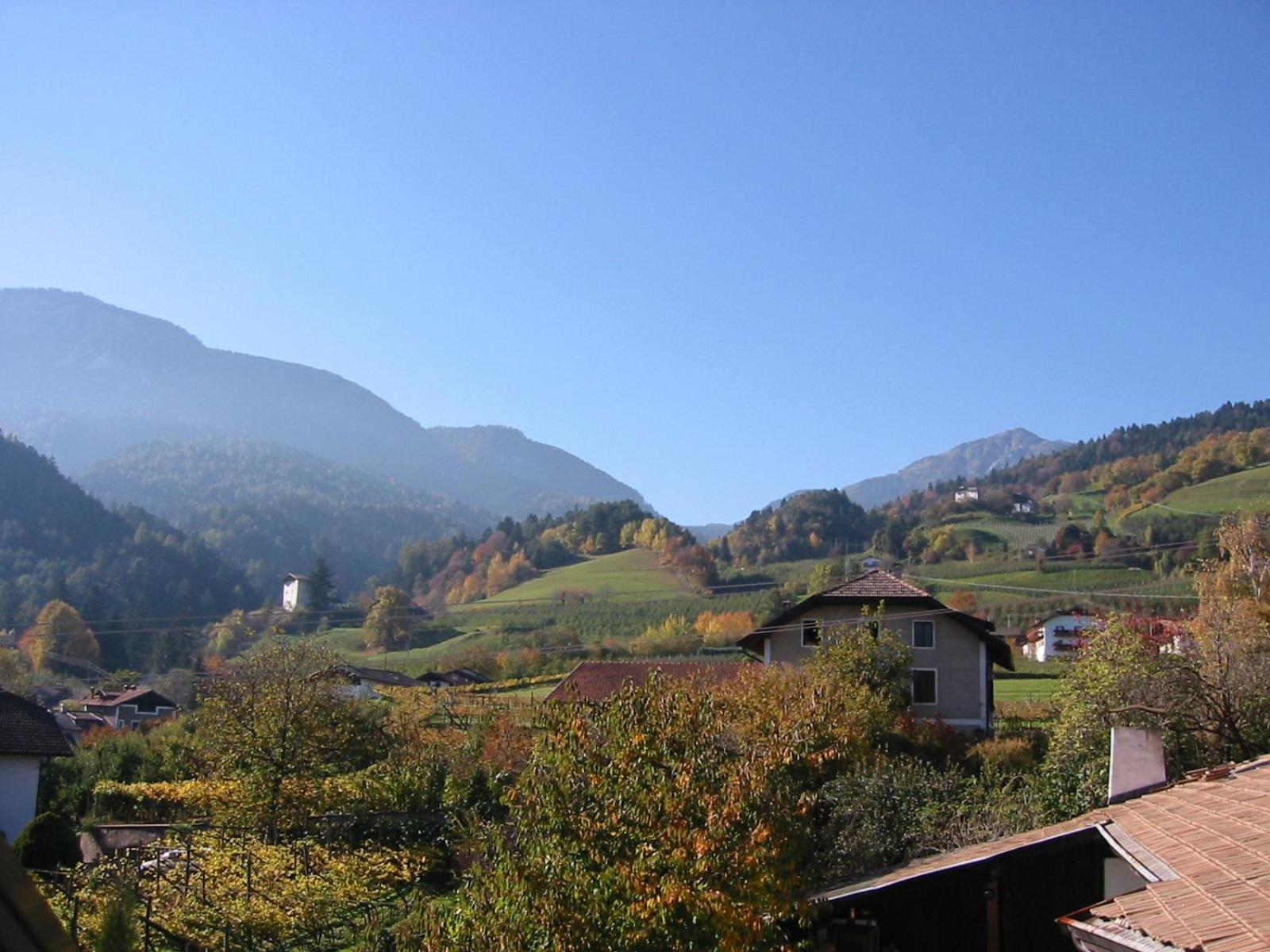 Photo 43