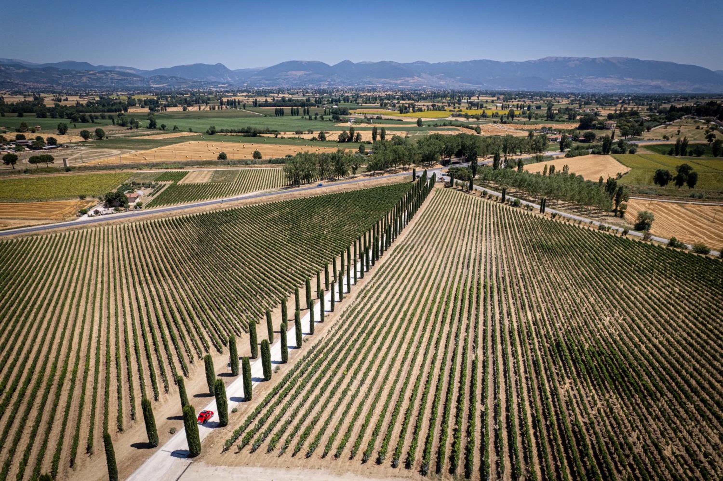 Fattoria Colsanto view 5