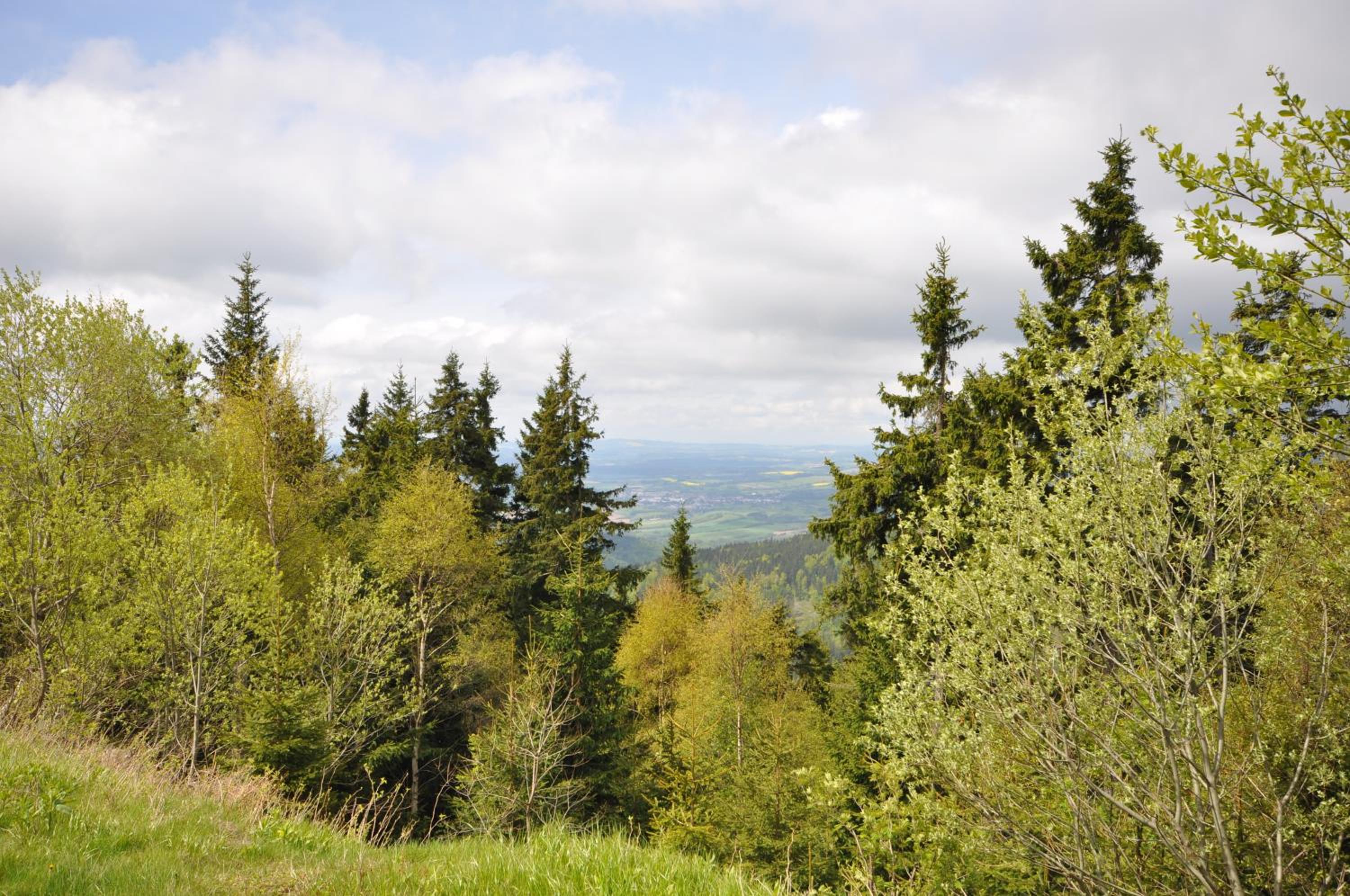 Wellness Pension Fulda Černý Důl