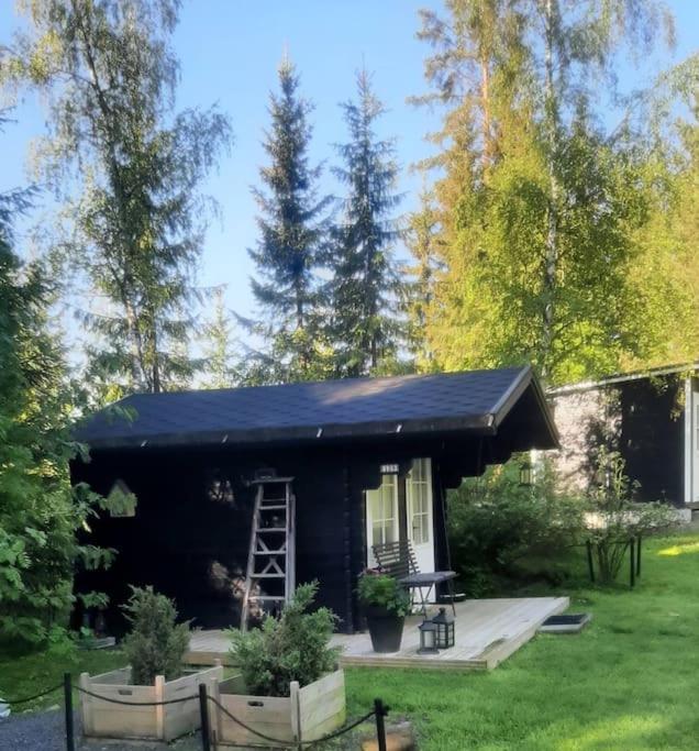 Kotoisa mökki Kangasniemellä