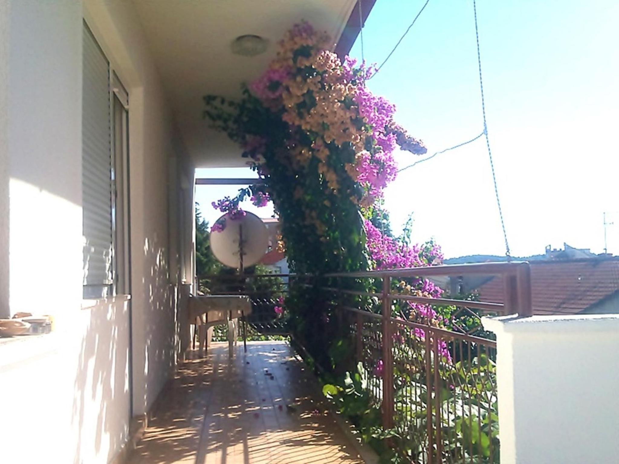 Photo 37