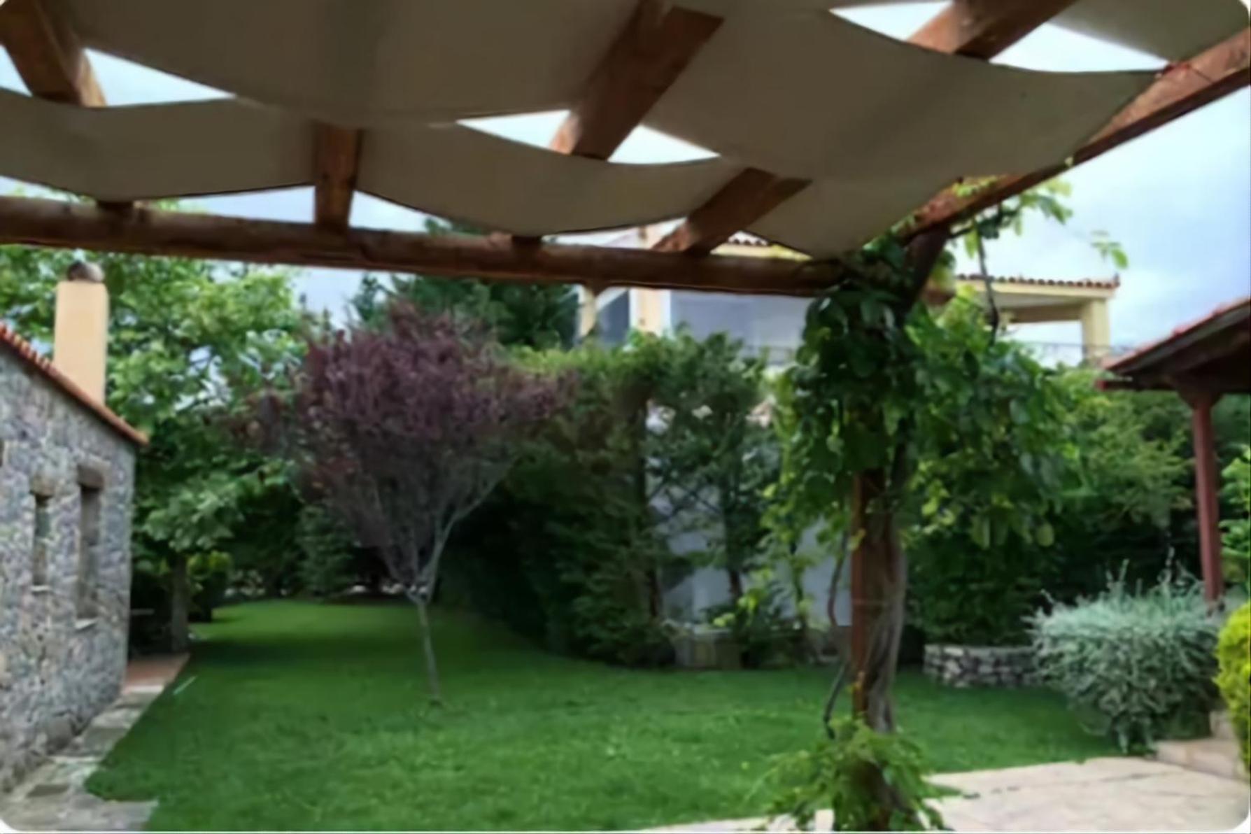 Photo 44