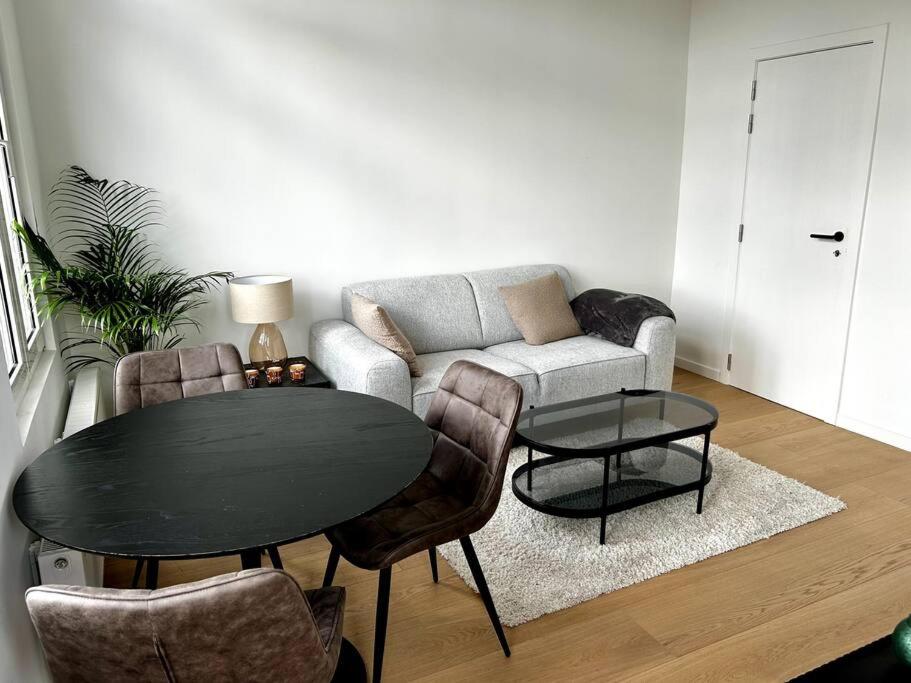 Apartment near central station