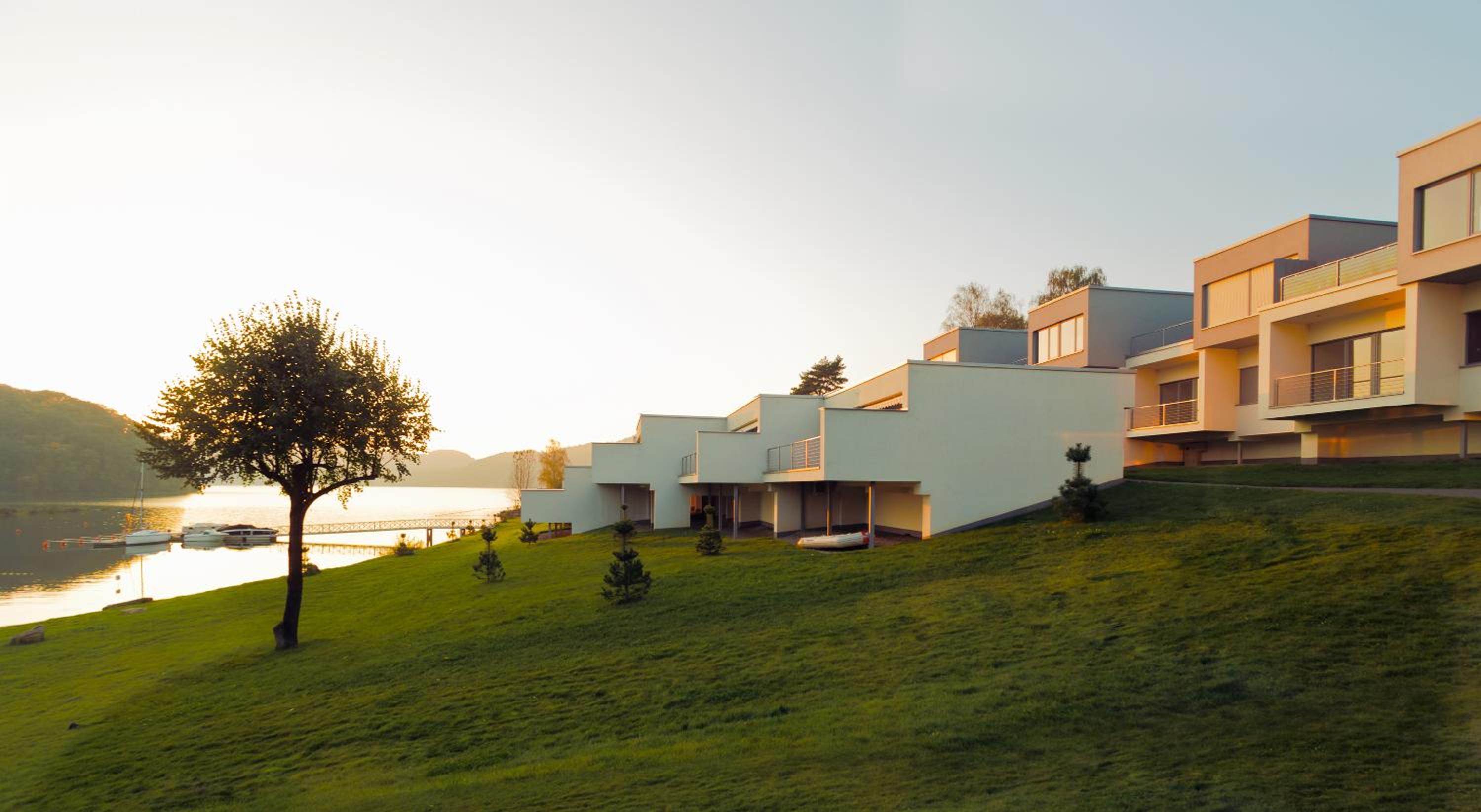 Photo 50