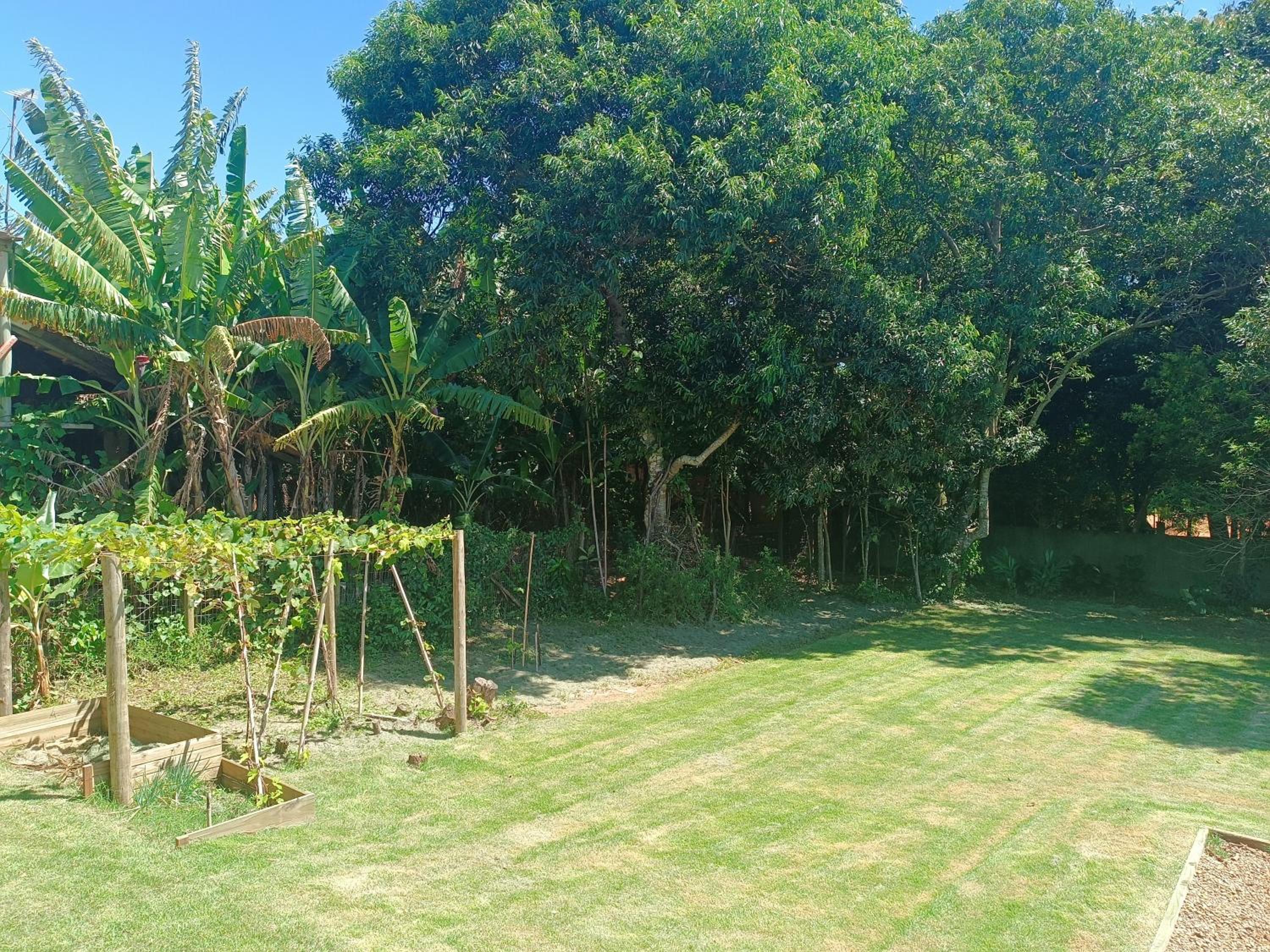 Casa Jasmim Manga Rosa