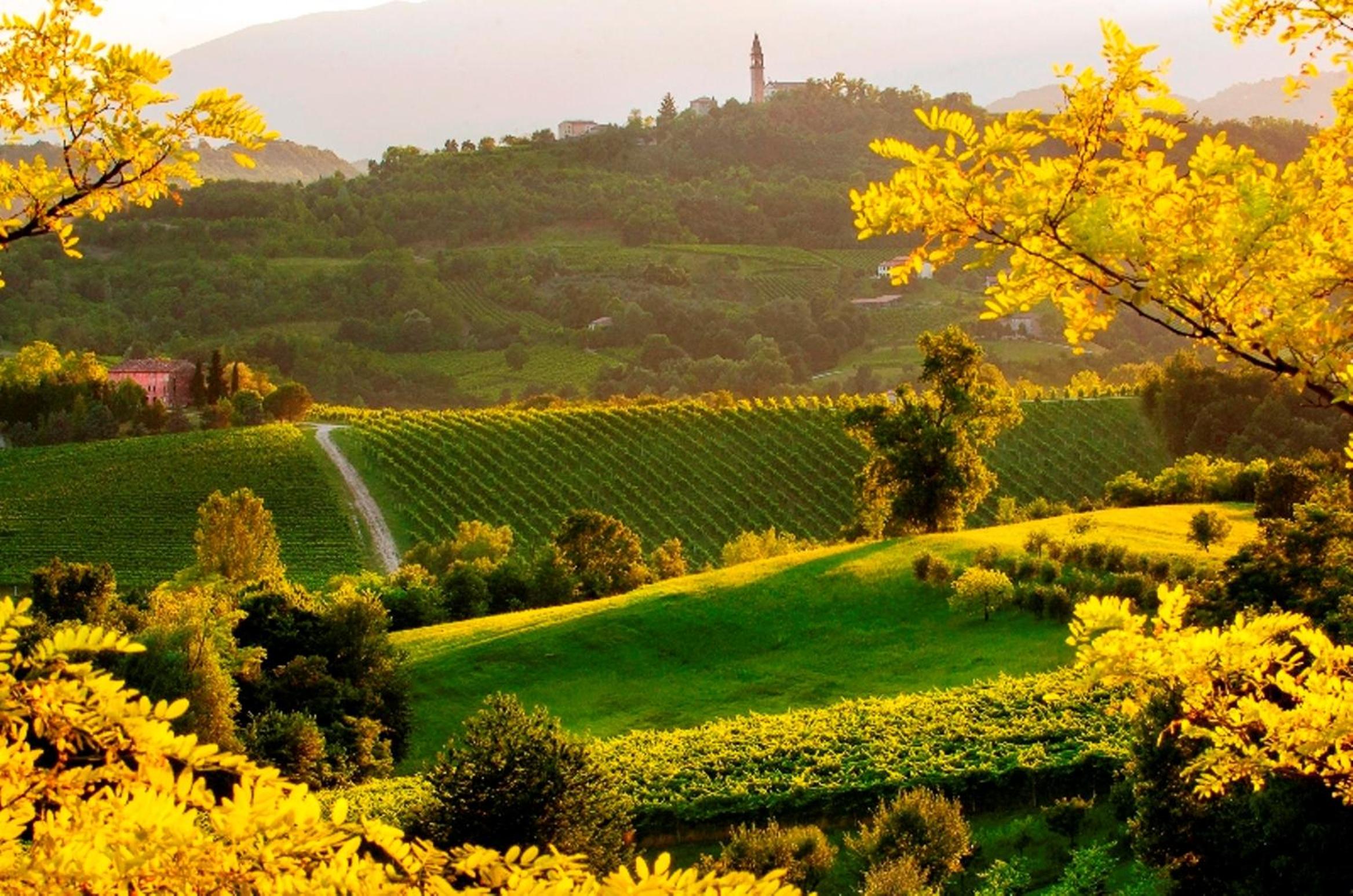 Agriturismo Le Spezie
