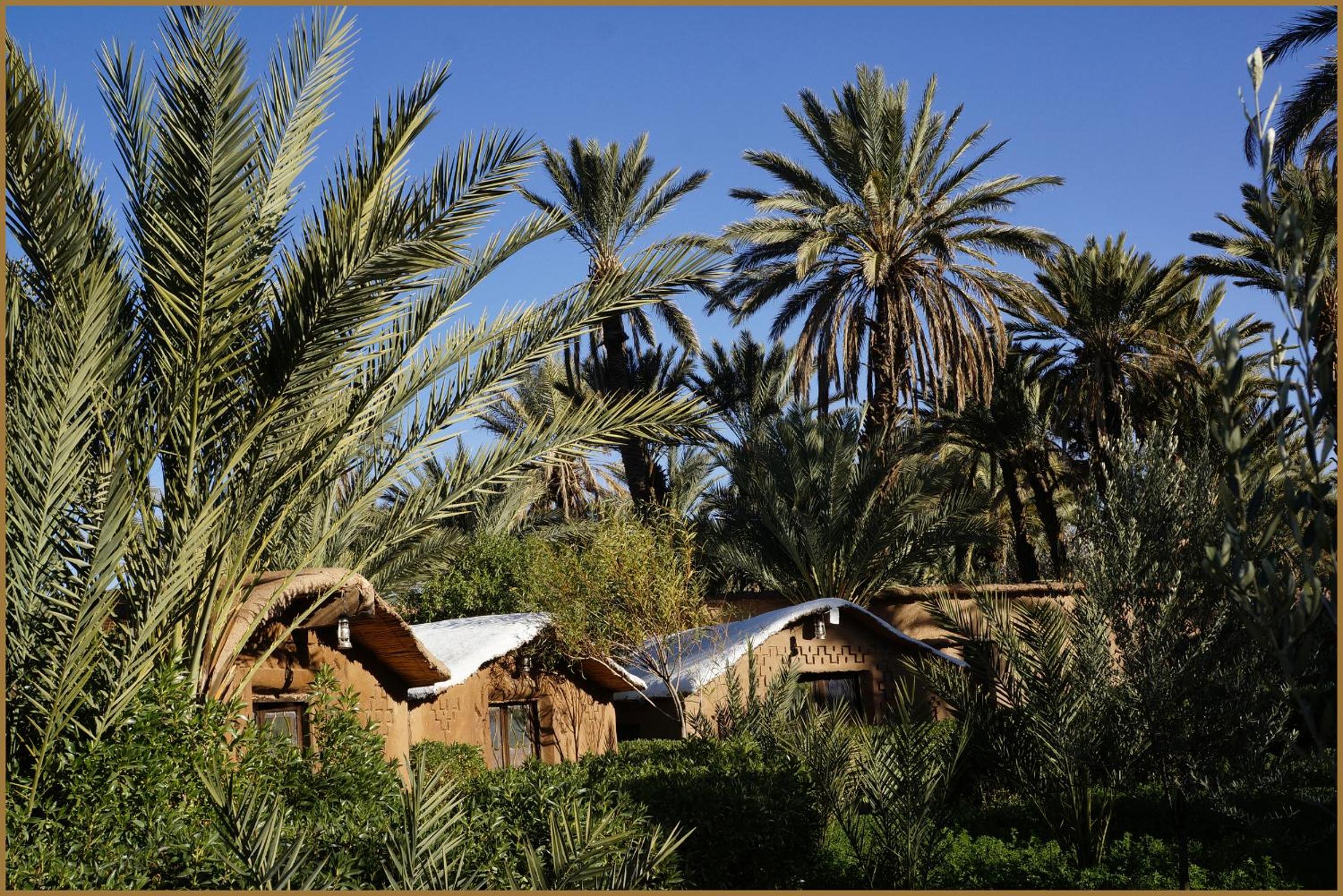 Lodge Hara Oasis