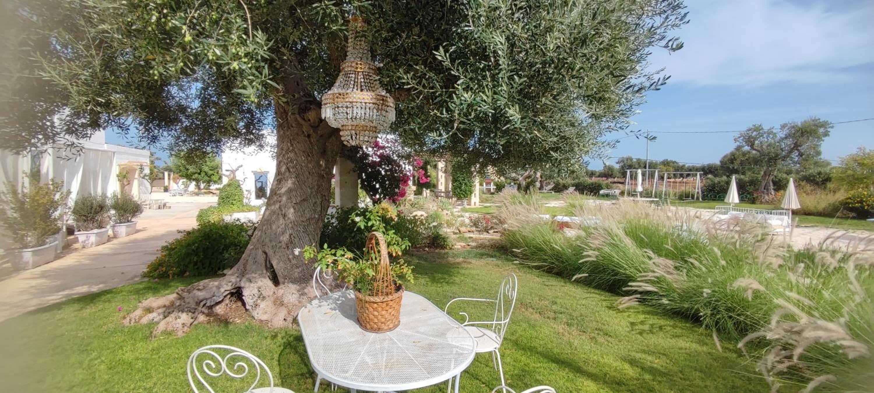 Masseria Verbena Agriturismo