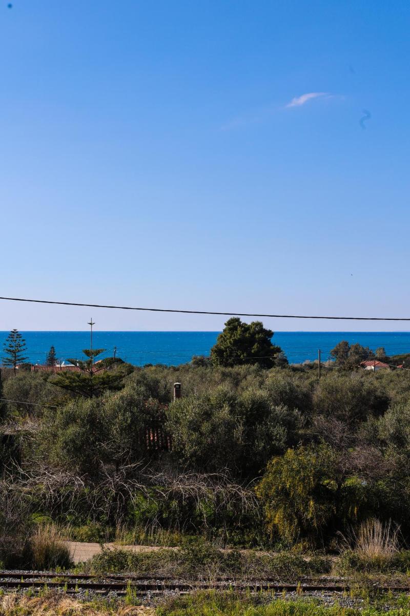 Kostas Mezonet photo 3