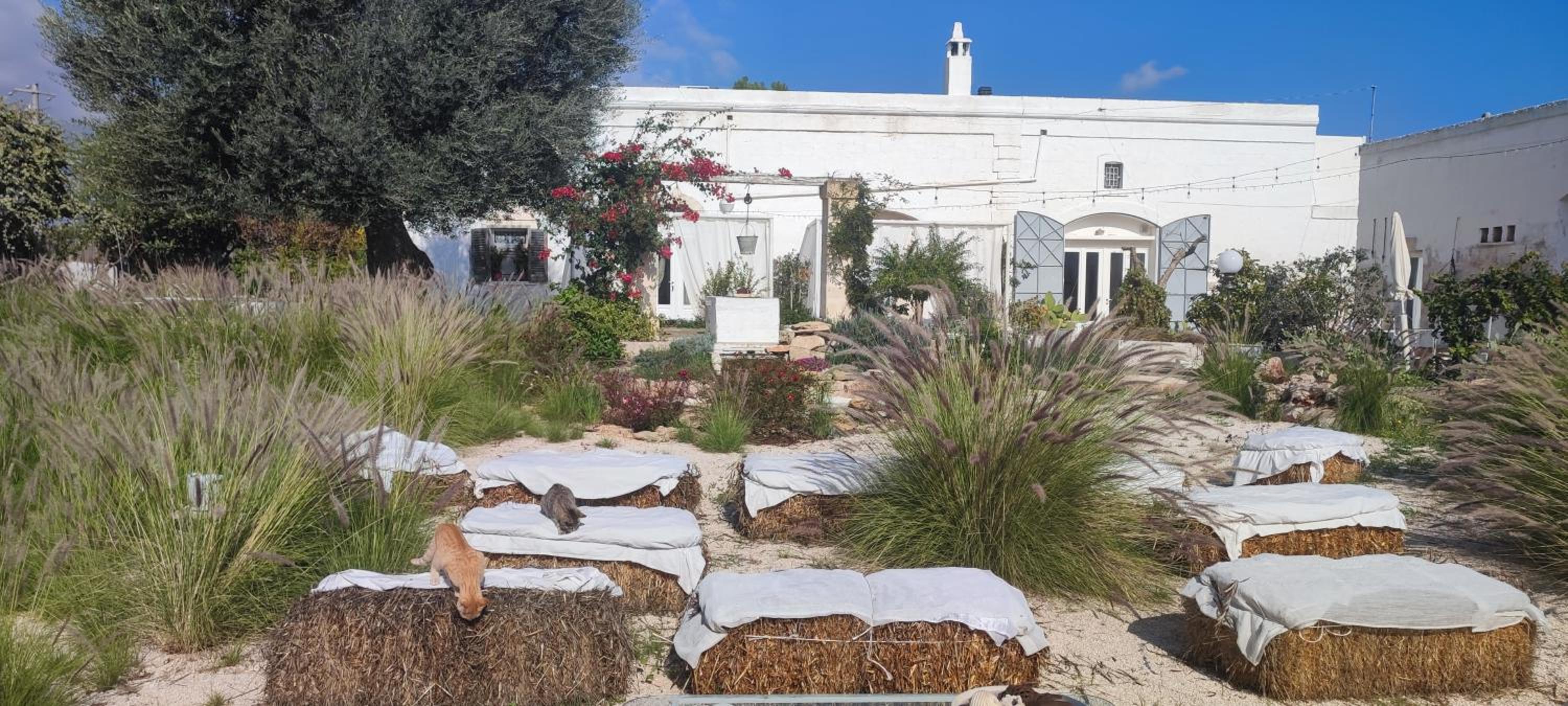 Masseria Verbena Agriturismo