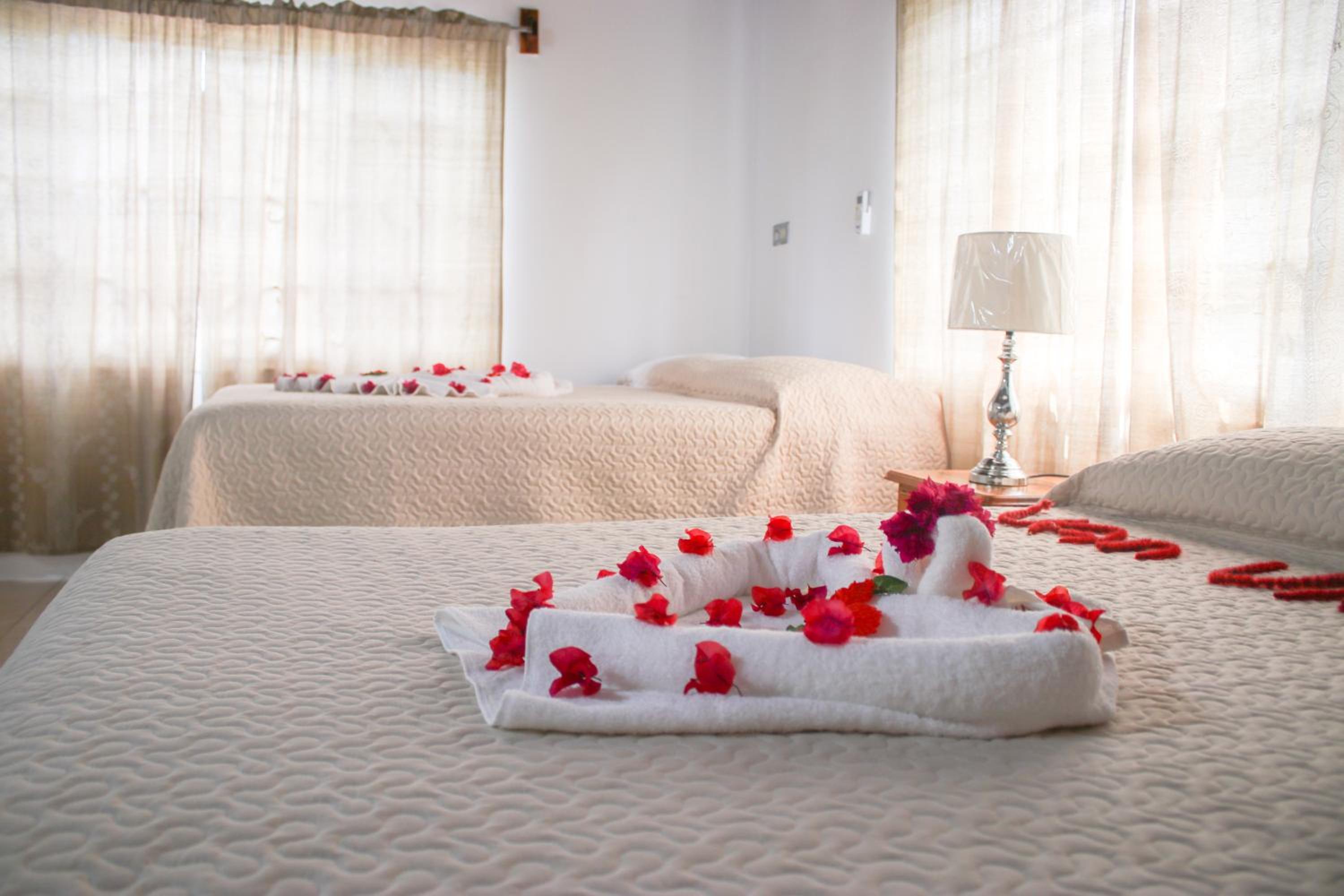 Van Villa Guesthouse
