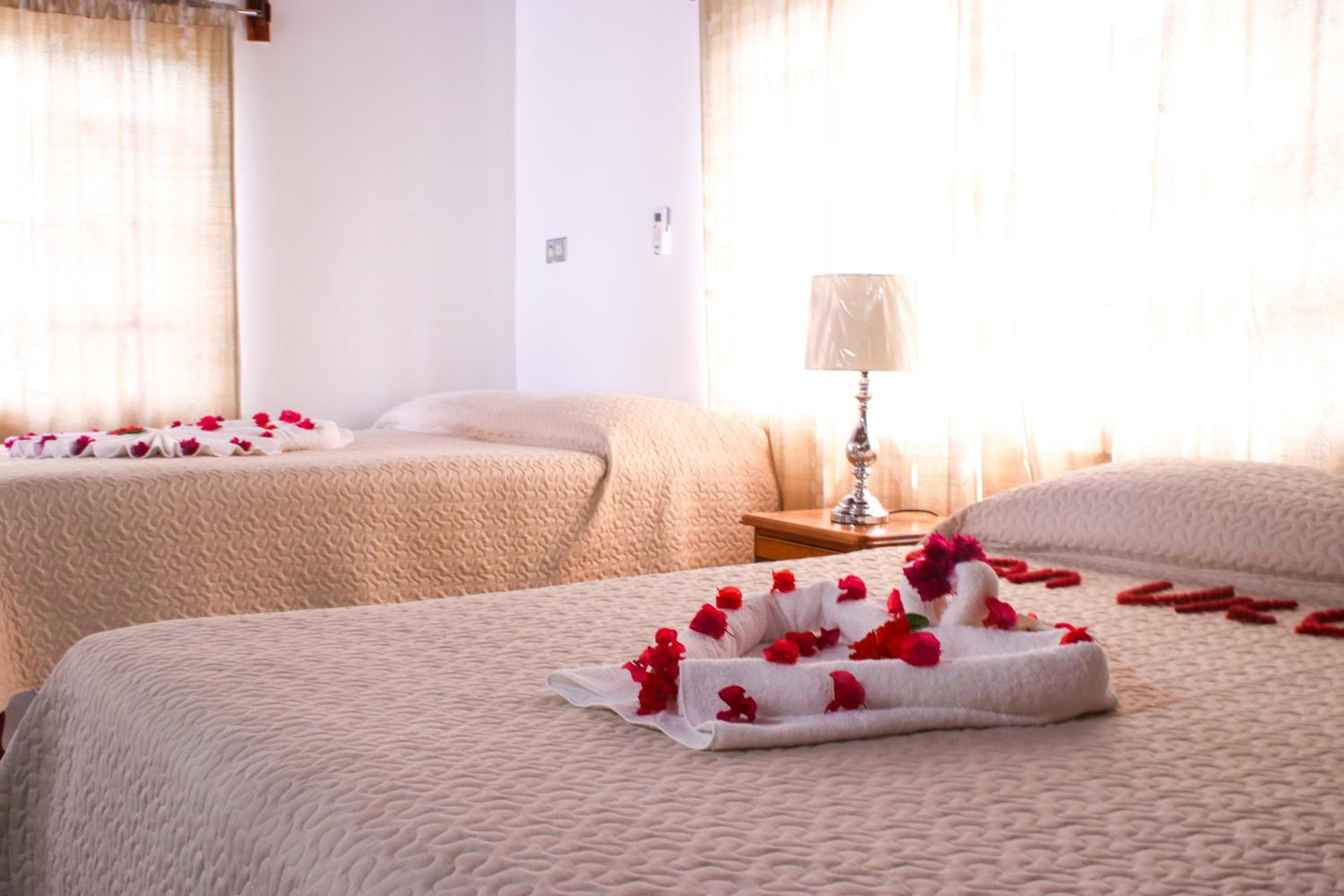 Van Villa Guesthouse