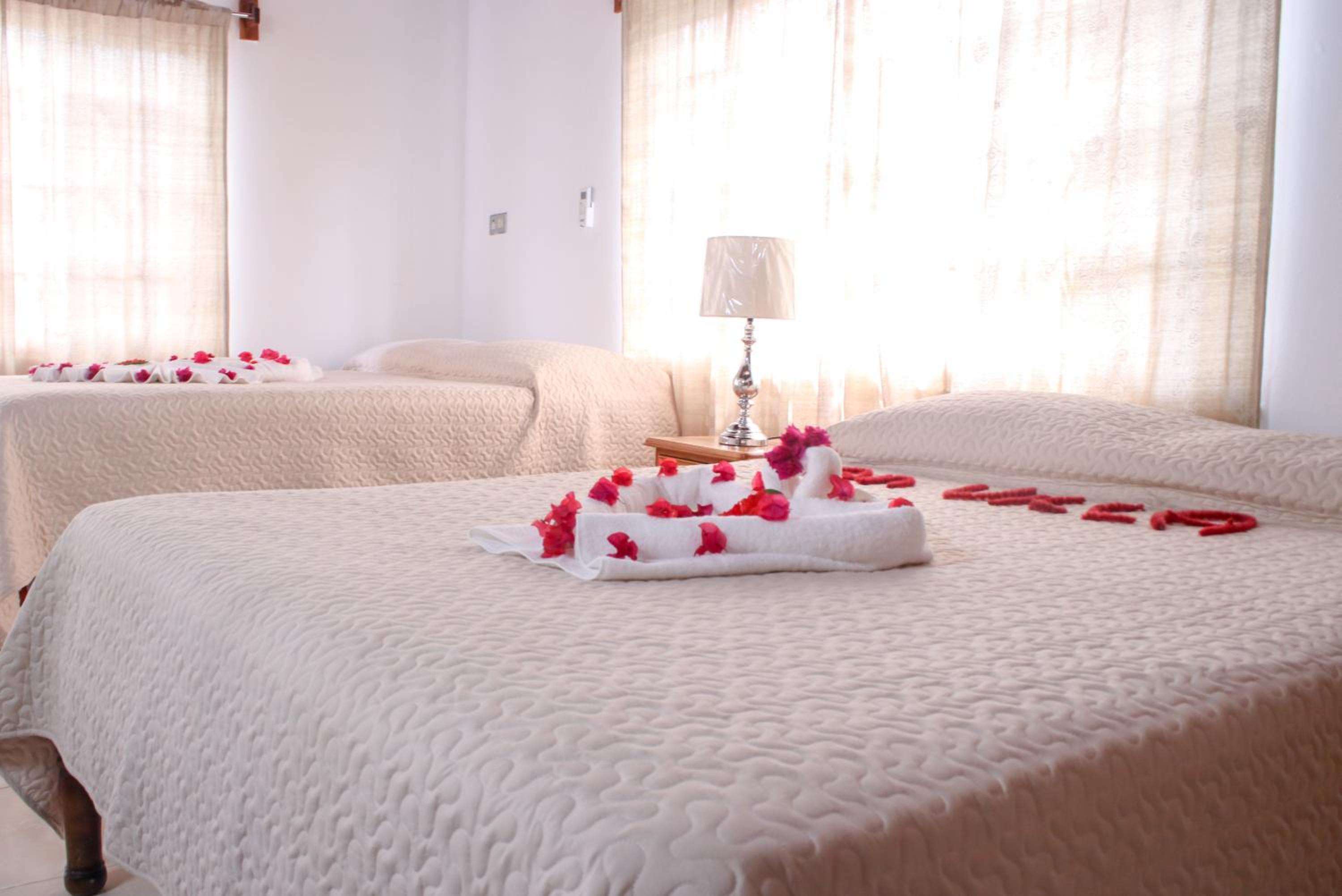 Van Villa Guesthouse