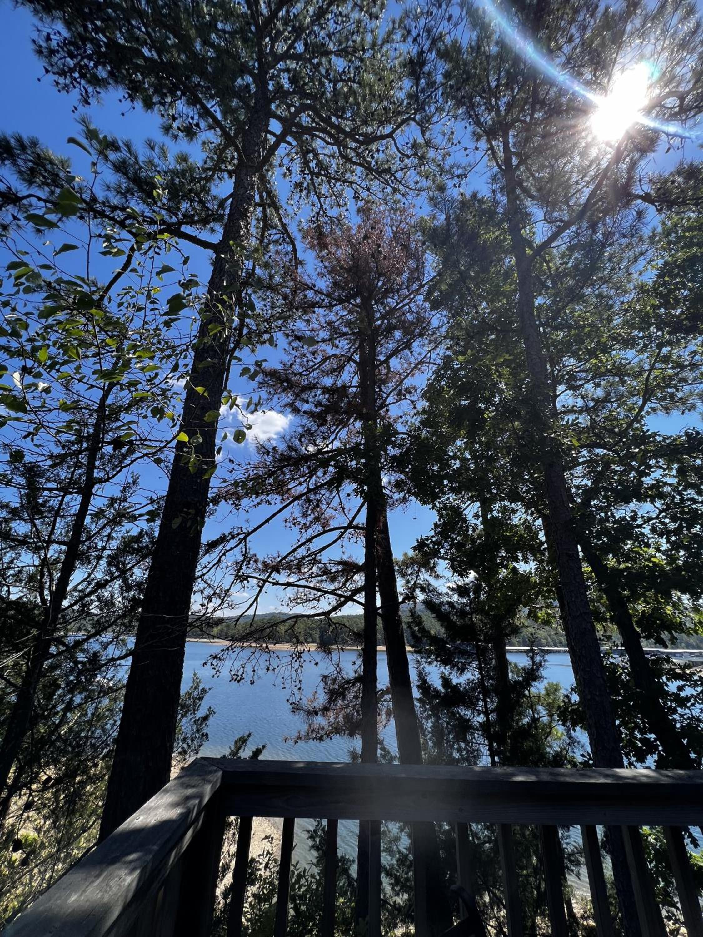 C18 - Lake view two bedroom, two bath loft, log-sided cottage with private hot tub overlooking Lake Ouachita view 5