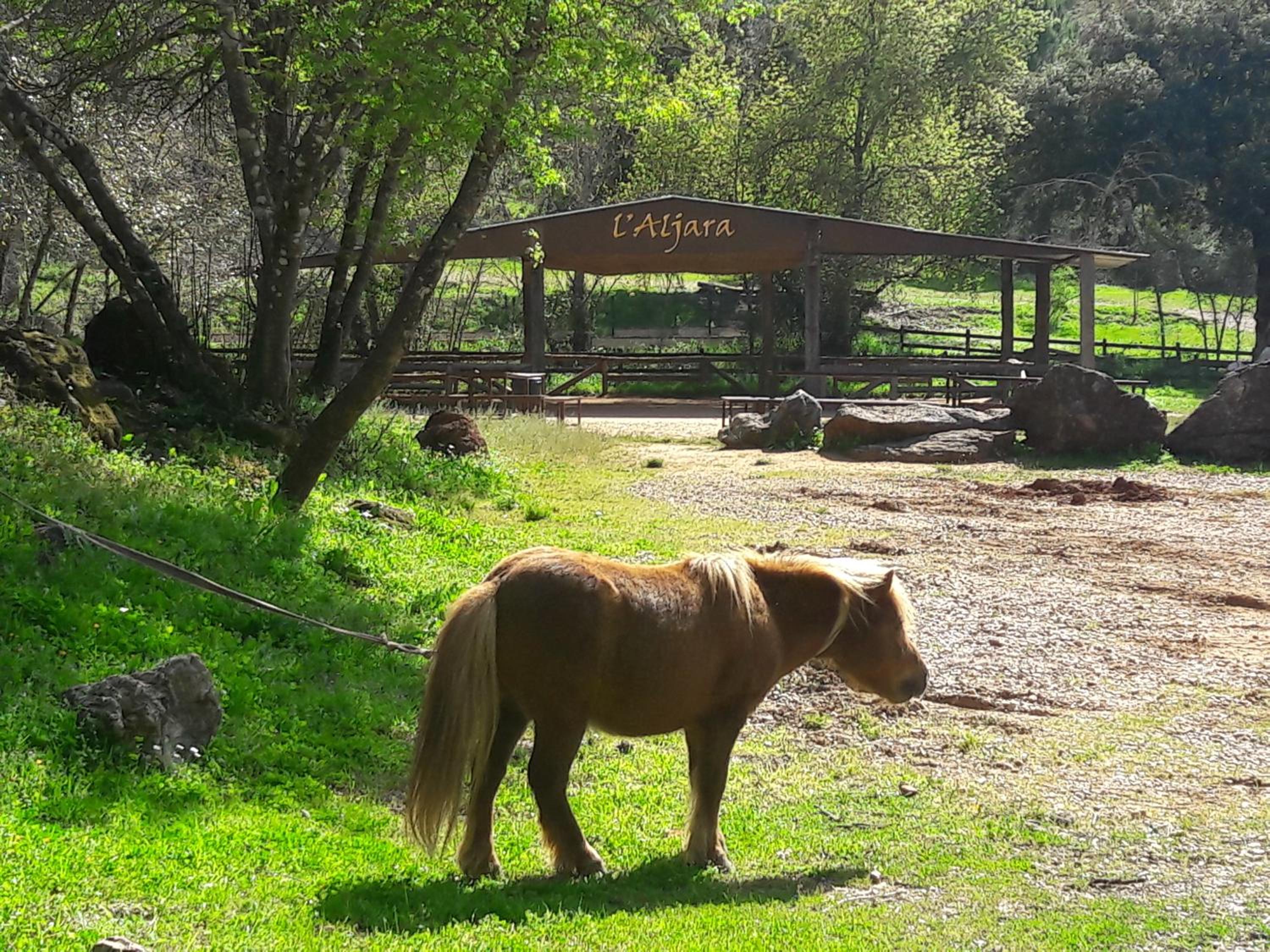 CABAÑAS DEL BOSQUE CERCA DE CORDOBA