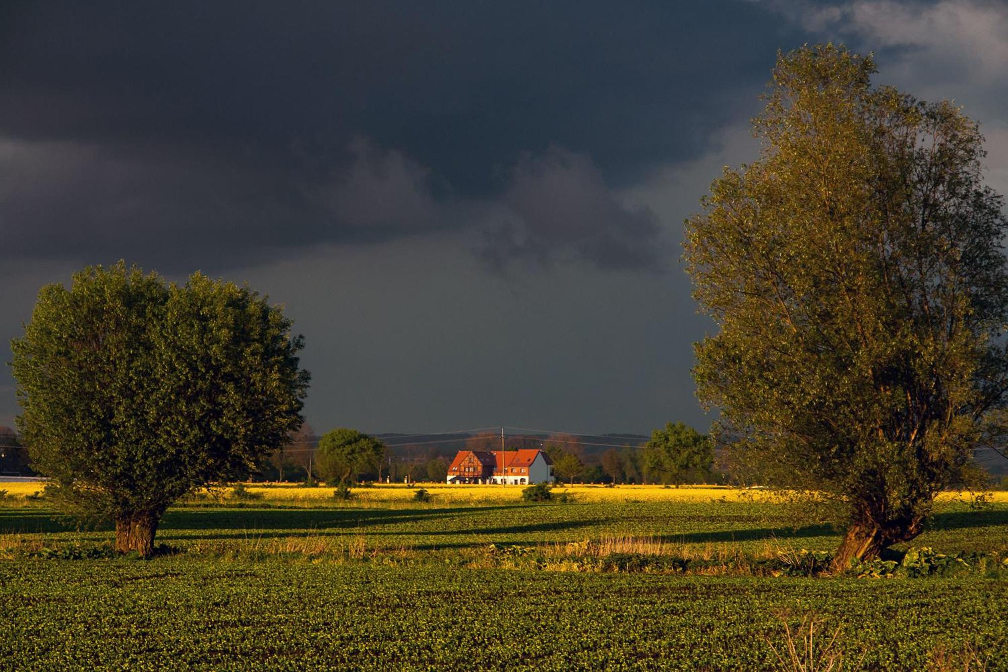 Folwark Żuławski view 2